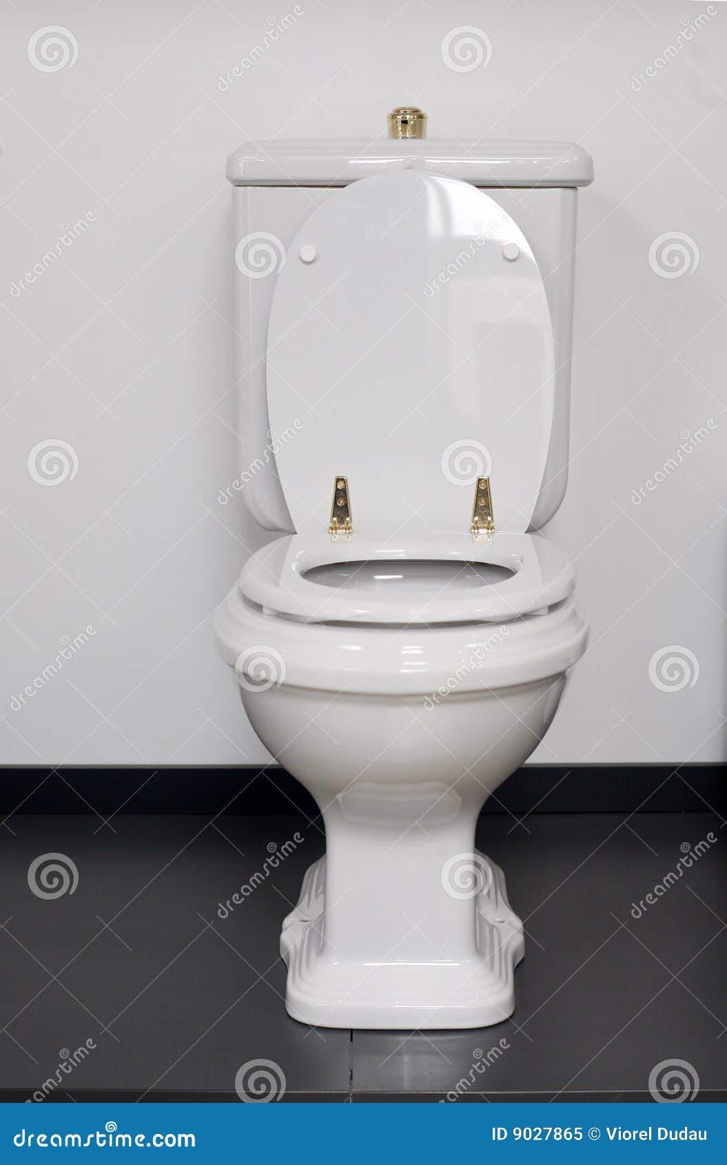 toilet wc