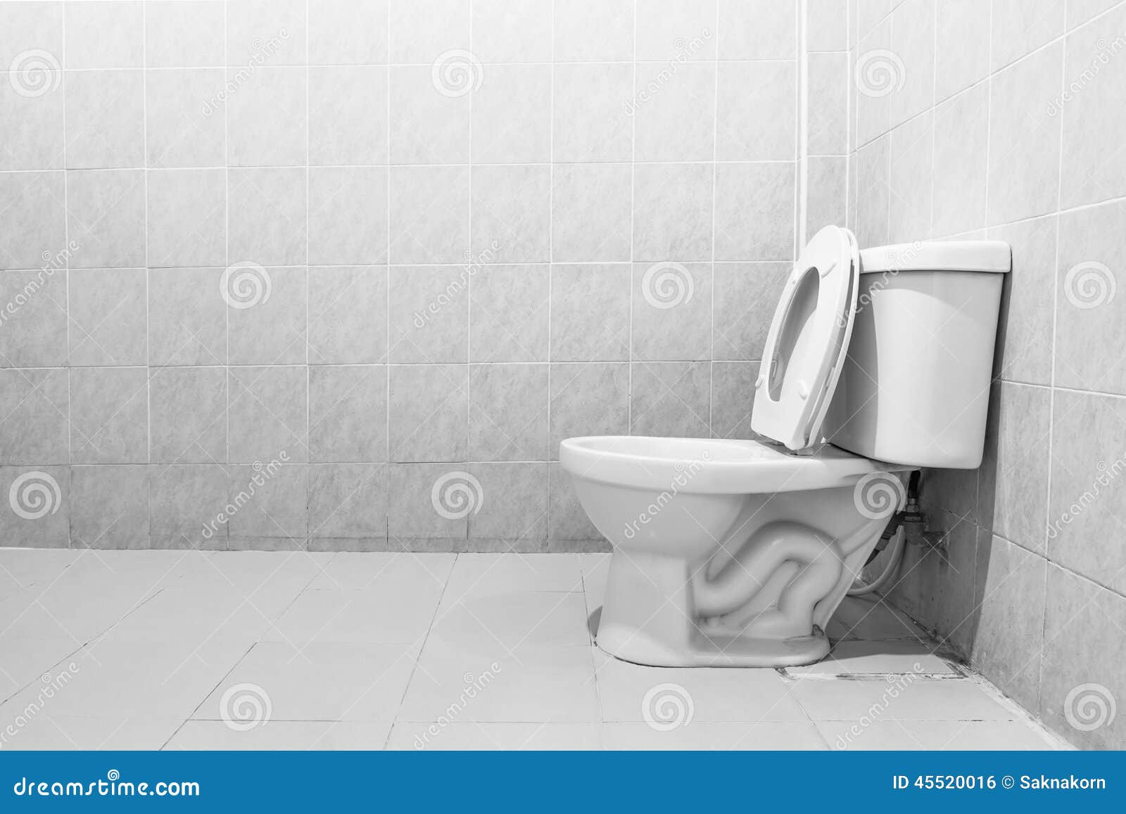 Toilet stock photo. Image of empty, elegance, ceramic 45520016