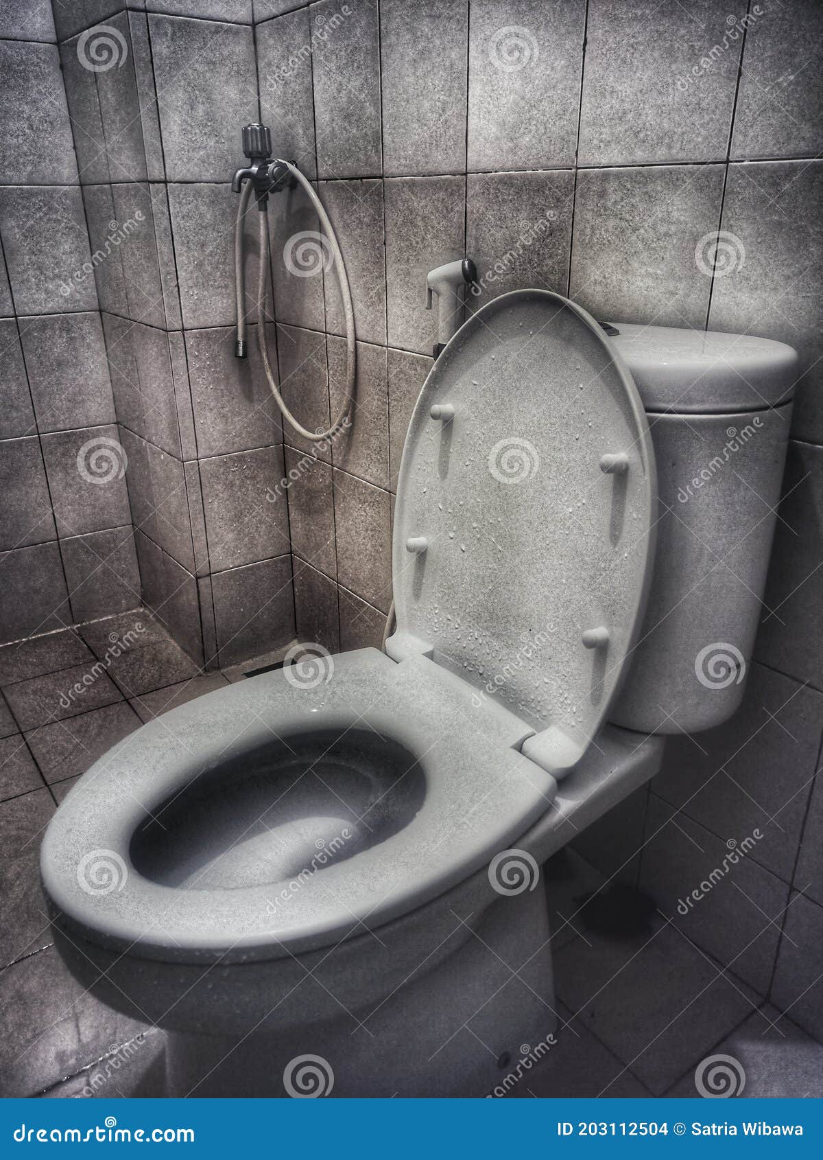 Toilets in a shopping mall stock photo. Image of mall 203112504