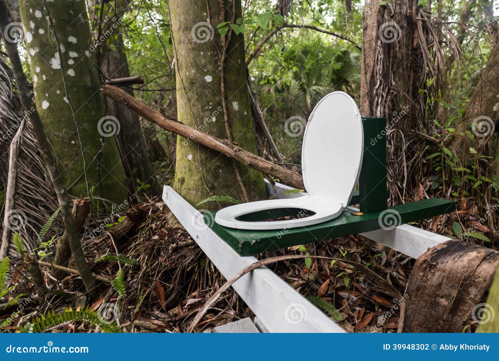 Toilette dans la jungle photo stock. Image du overnight 39948302