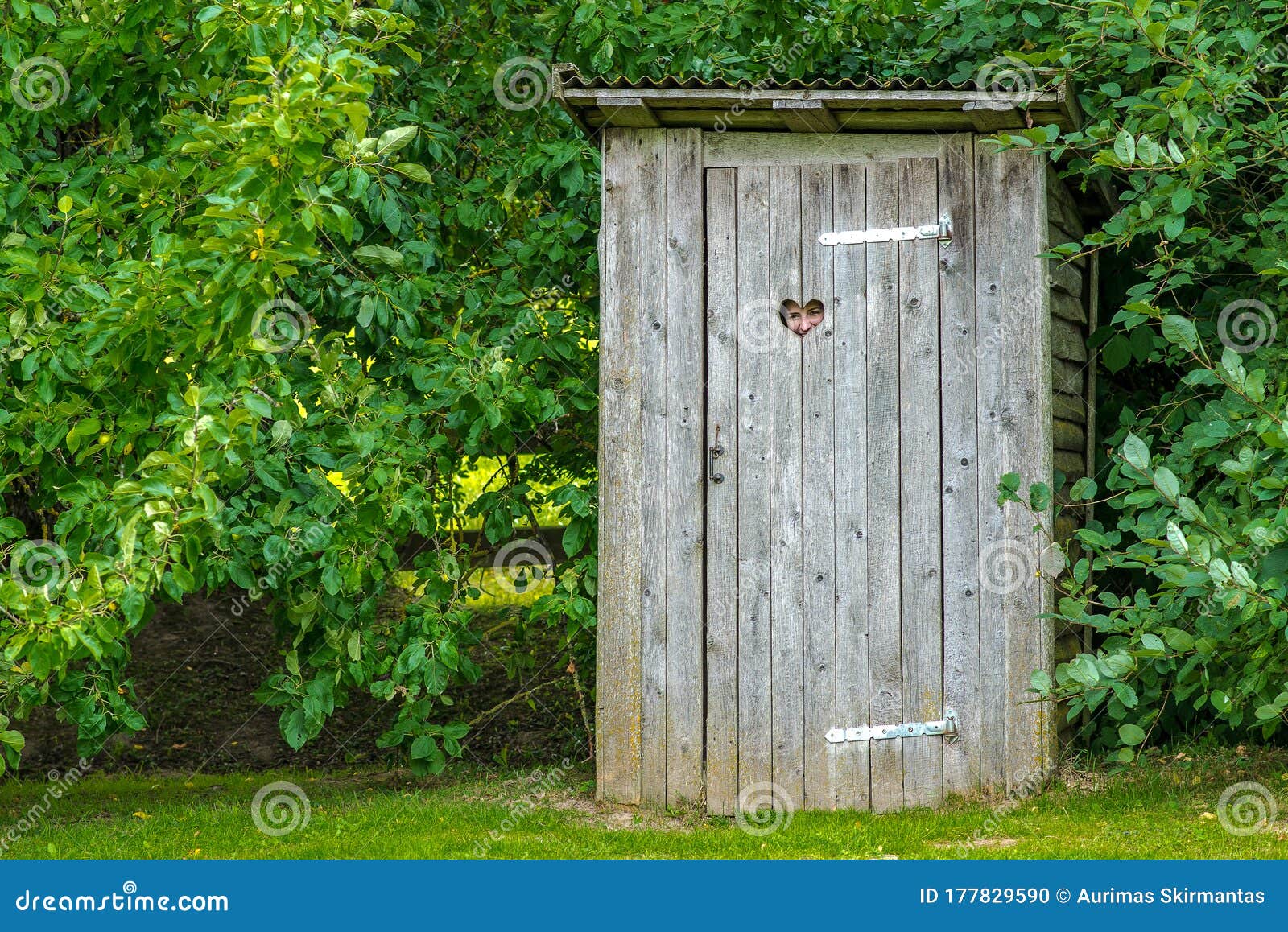 Toilette Extérieure Dans La Nature Avec Le Coeur Photo stock - Image du  extérieur, nature: 177829590