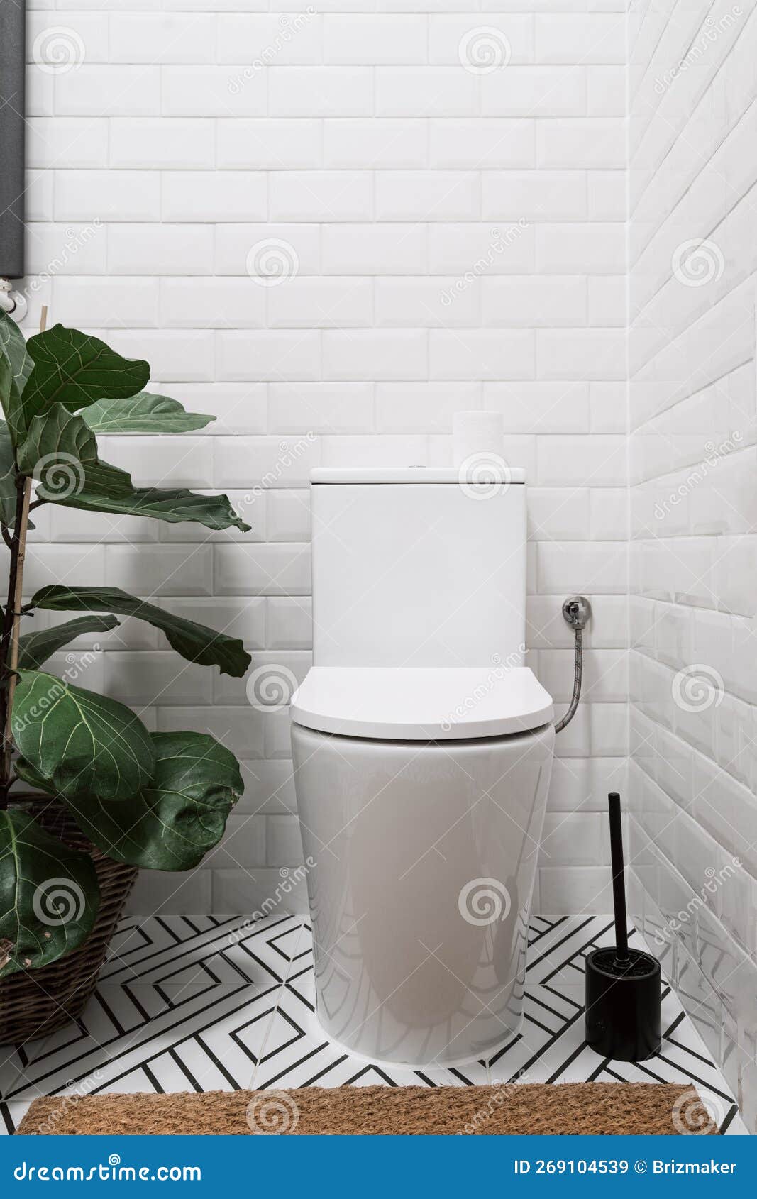 Intérieur Des Toilettes Avec Tapis De Cuvette En Céramique Et