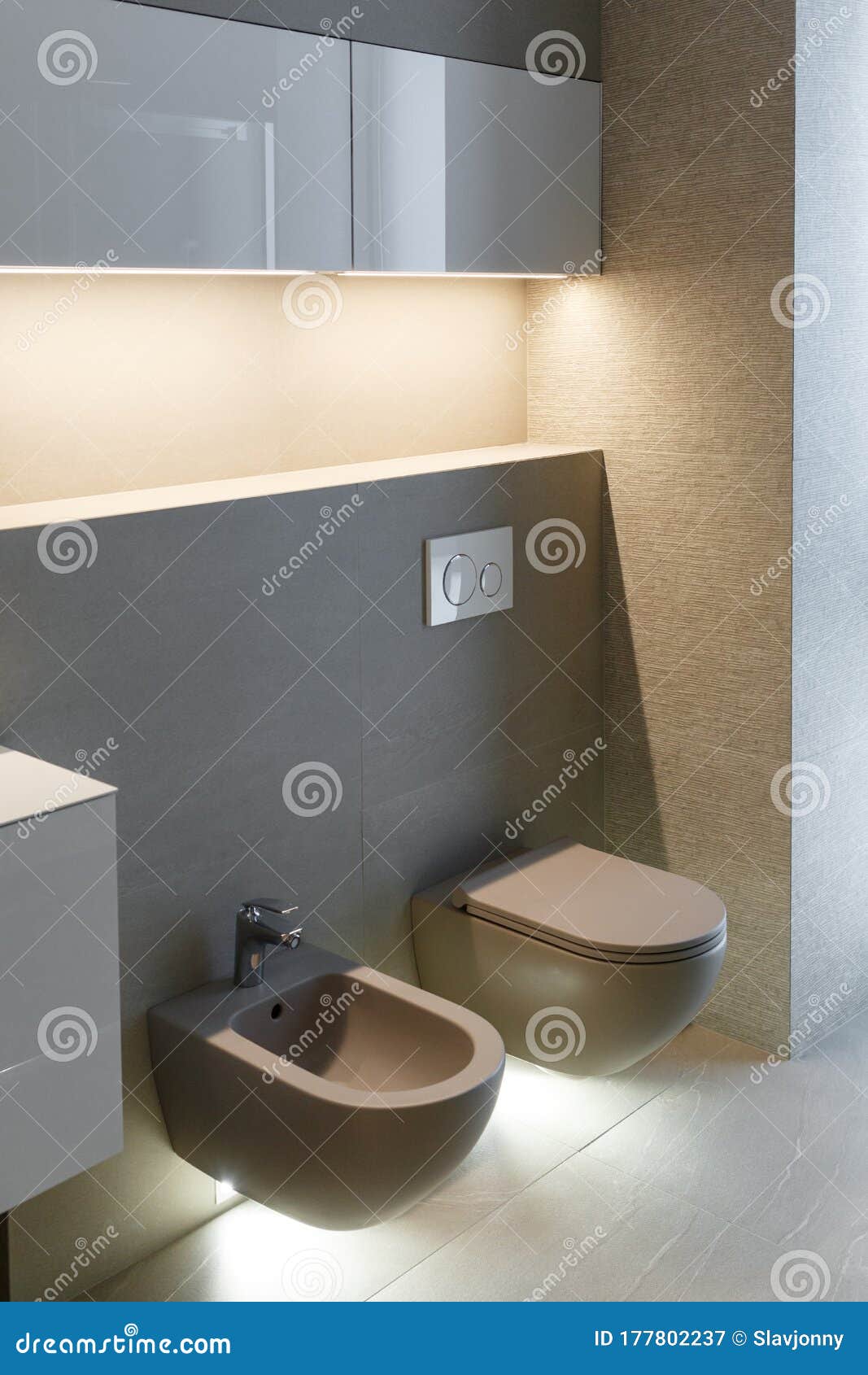 Toilettes Et Bidet Bruns. Intérieur Moderne De Wc. Presse Flush Blanche De  Toilette économique Avec Deux Boutons Distincts Pour La Image stock - Image  du homme, neuf: 177802237