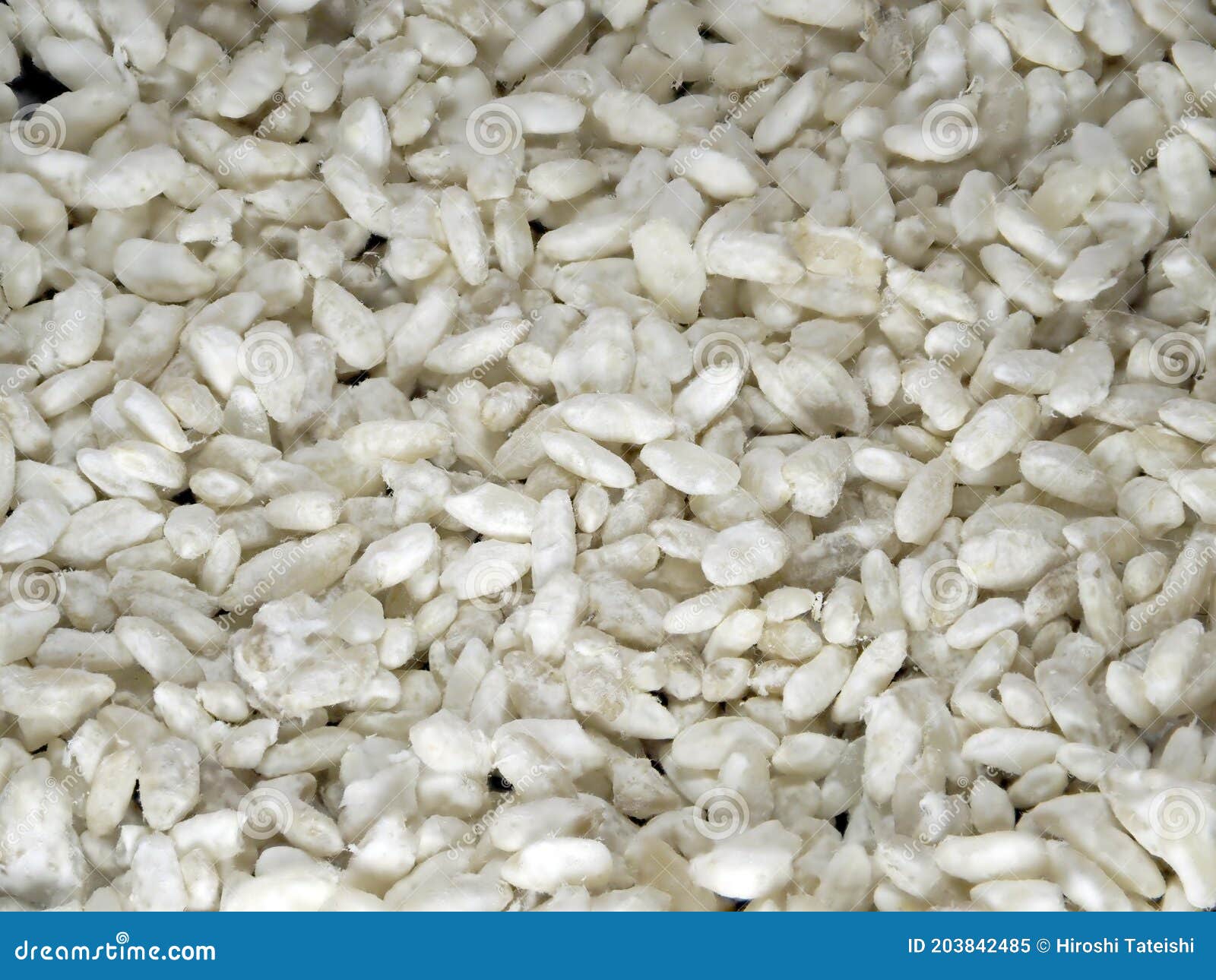 Closeup of Malted Rice or Komekoji, Main Ingredient of Sake Stock Image ...