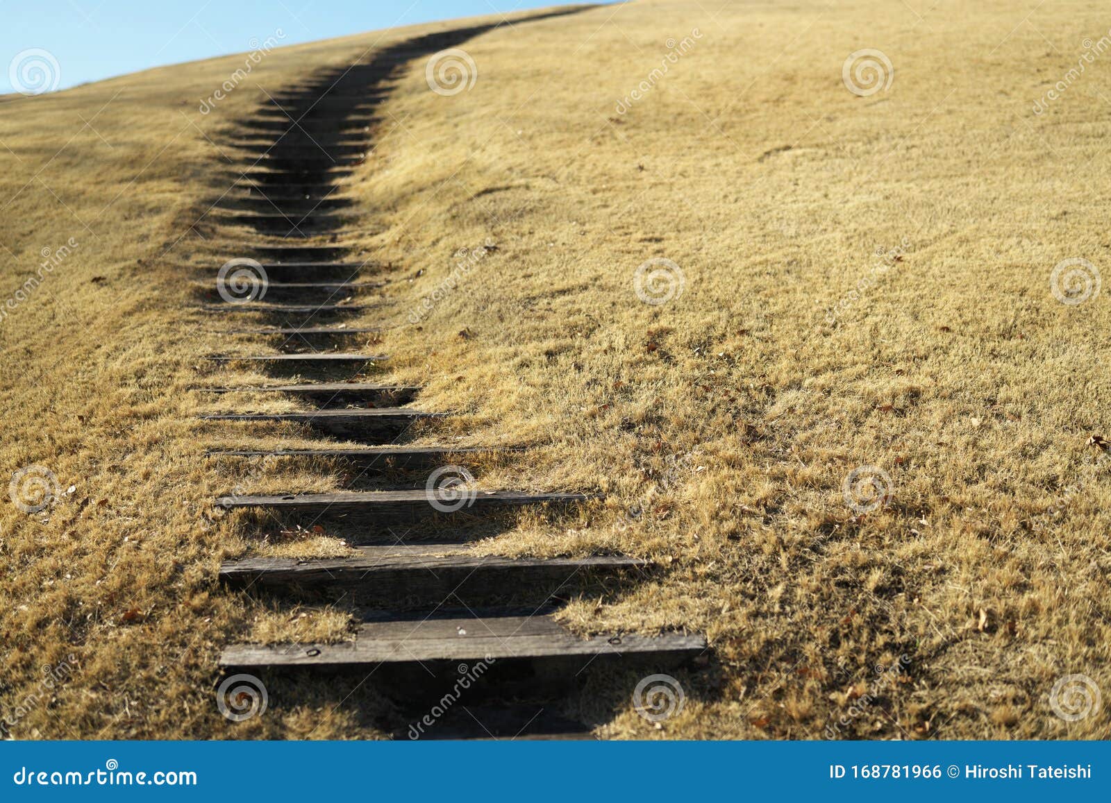 Steps on Grass Covered Hill Stock Photo Image of blue, steps 168781966