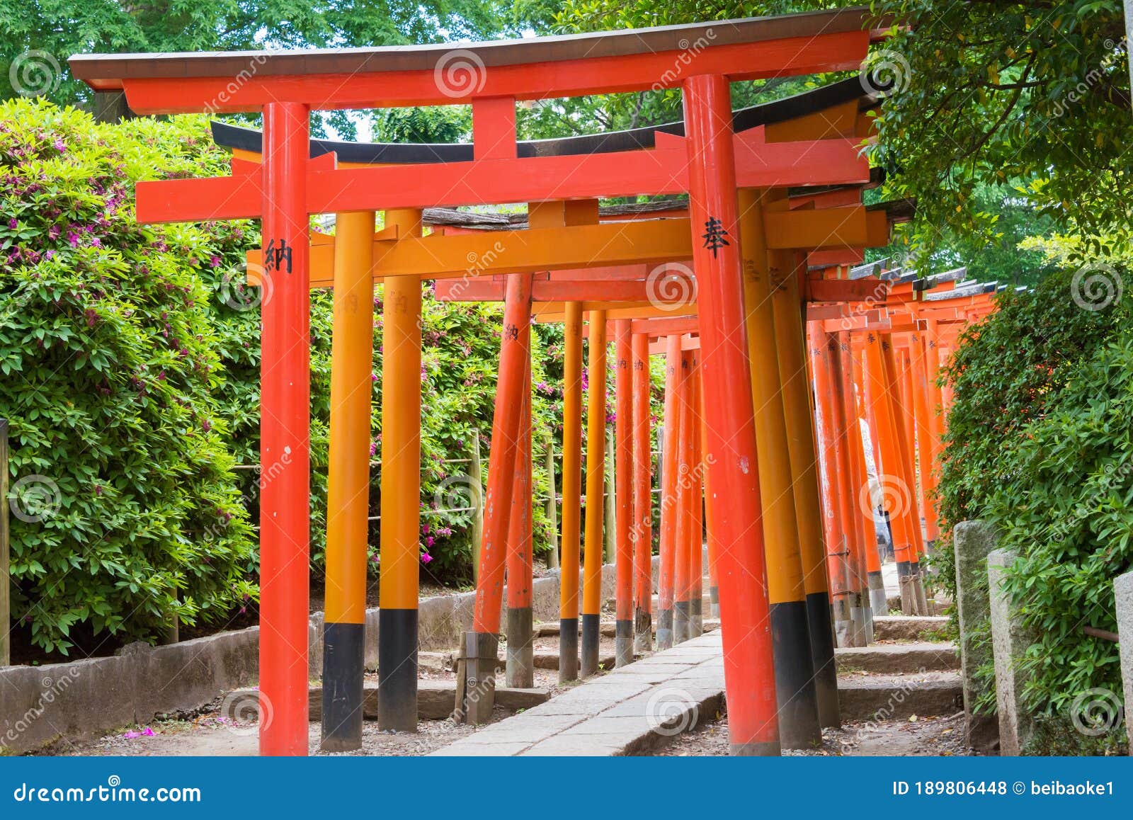 Nezu Shrine in Tokyo, Japan. it is One of the Tokyo Ten Shrines Stock Photo - Image of gate, arche: 189806448