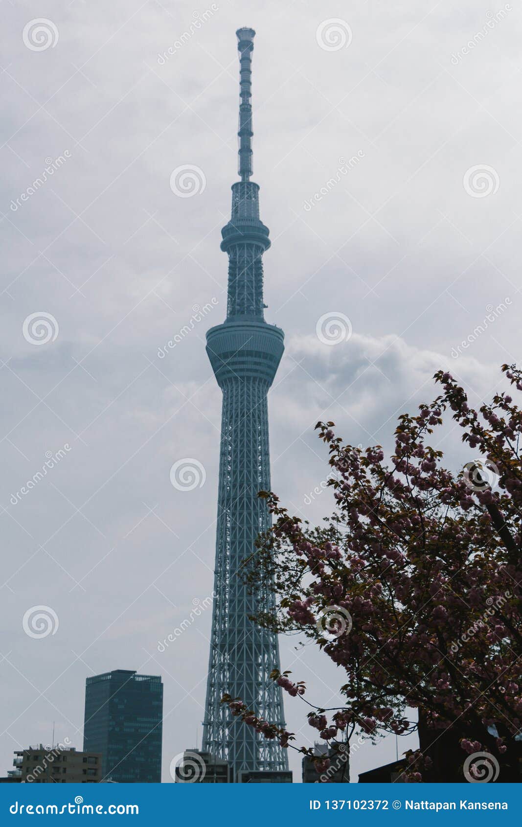 Tokyo Sky Tree, Japanese Radio Tower Editorial Photography - Image of  space, sightseeing: 137102372