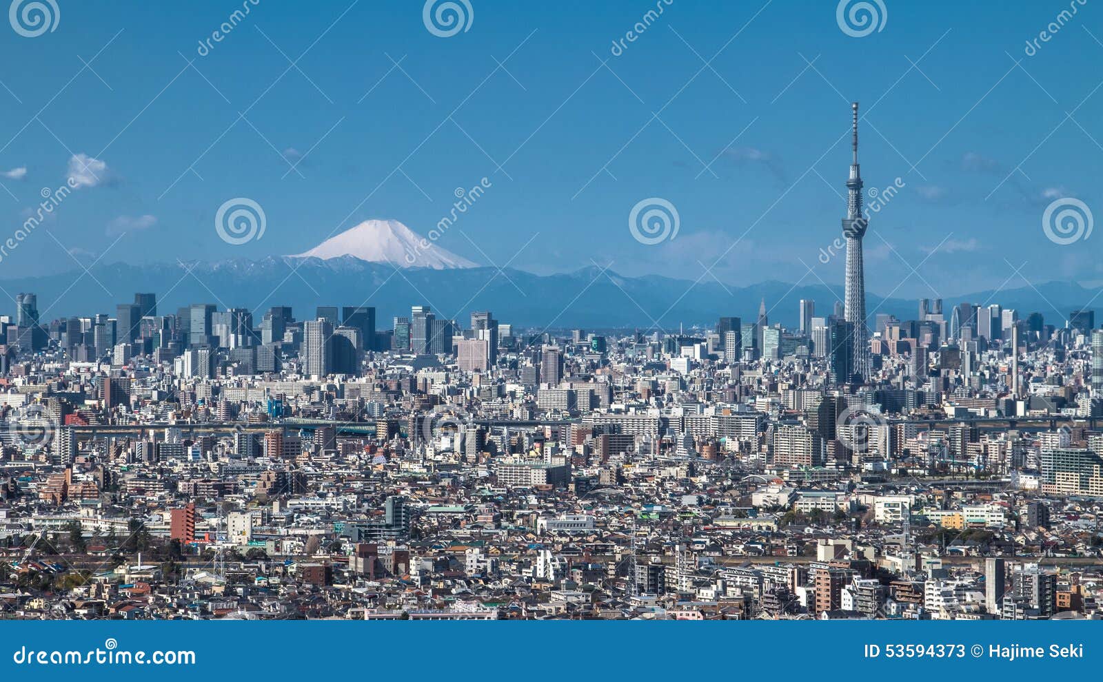 tokyo skytree and mt fuji