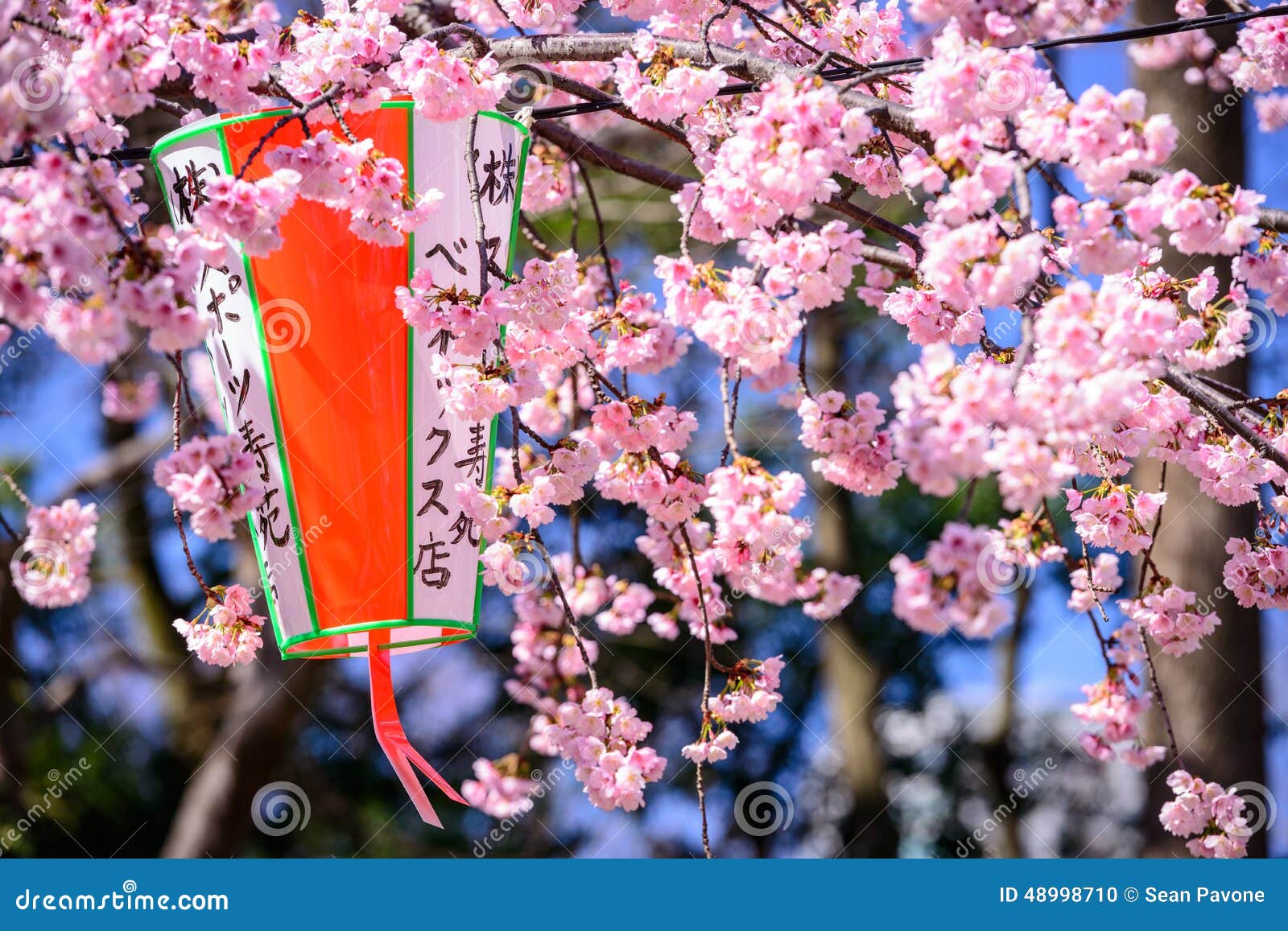 tokyo in spring