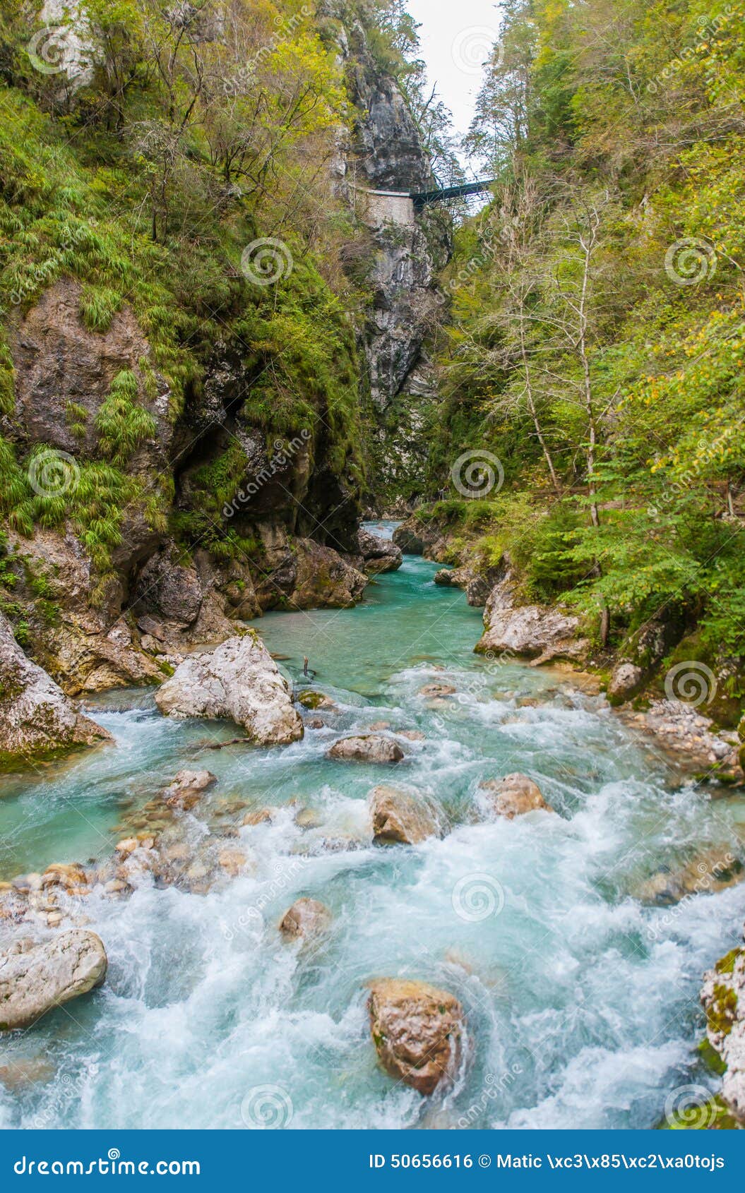 Tolmin klyfta, natur, Slovenien. Tolmin klyfta med floden Tolminka i Slovenien, Europa