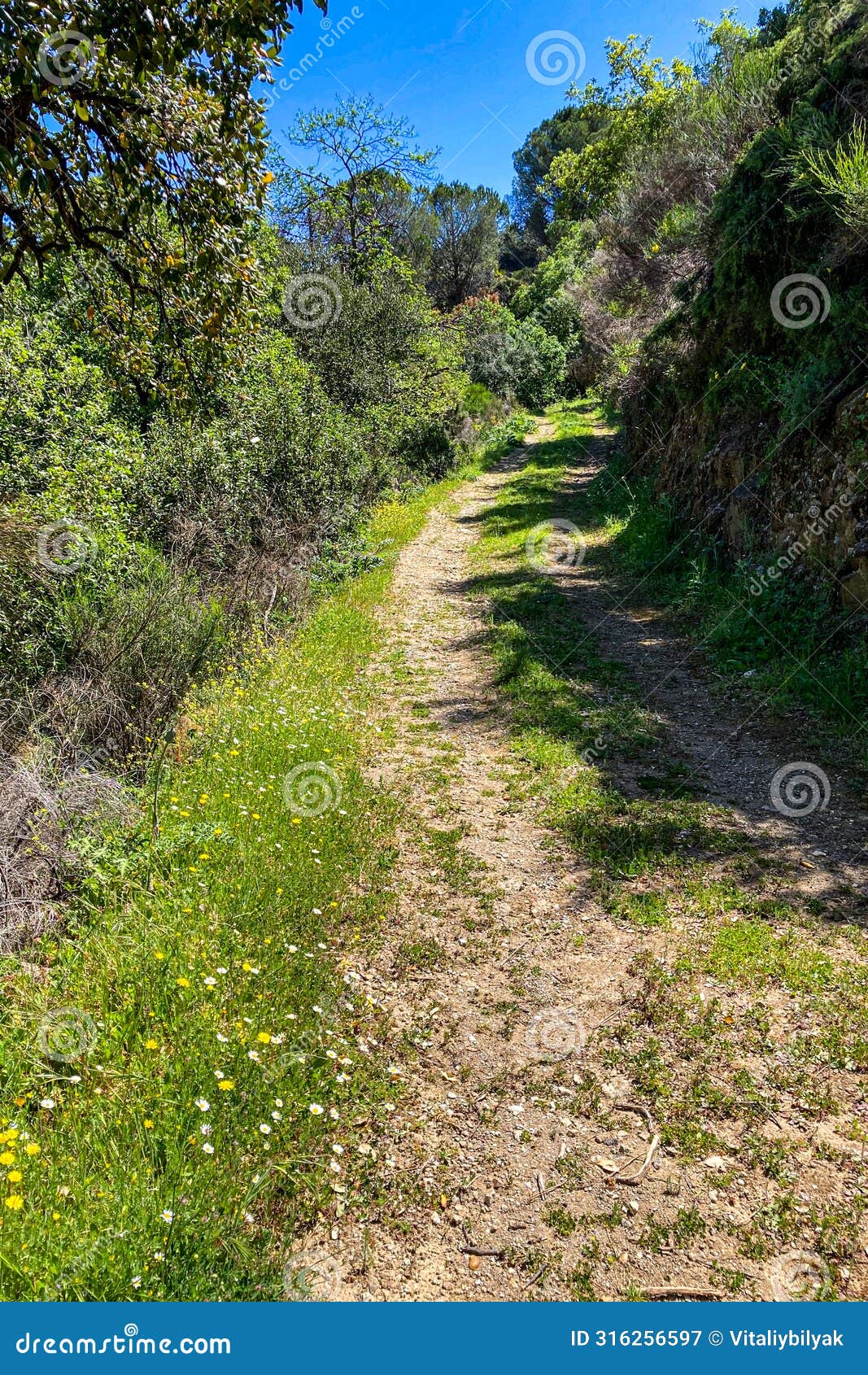 hiking trail to waterfalls over river caballos, sierra de la nieves national park in tolox, malaga