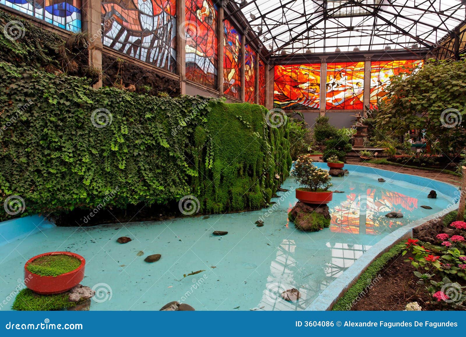 Toluca Botanical Gardens Mexico Stock Photo Image of mexico, windows