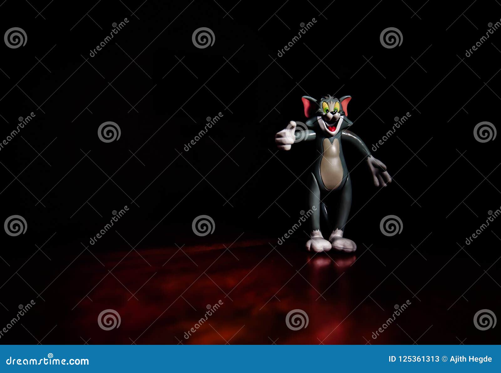 Tom el gato foto de archivo editorial. Imagen de gato 125361313