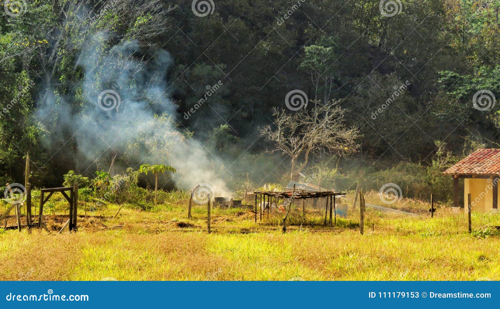 campos blancos honduras