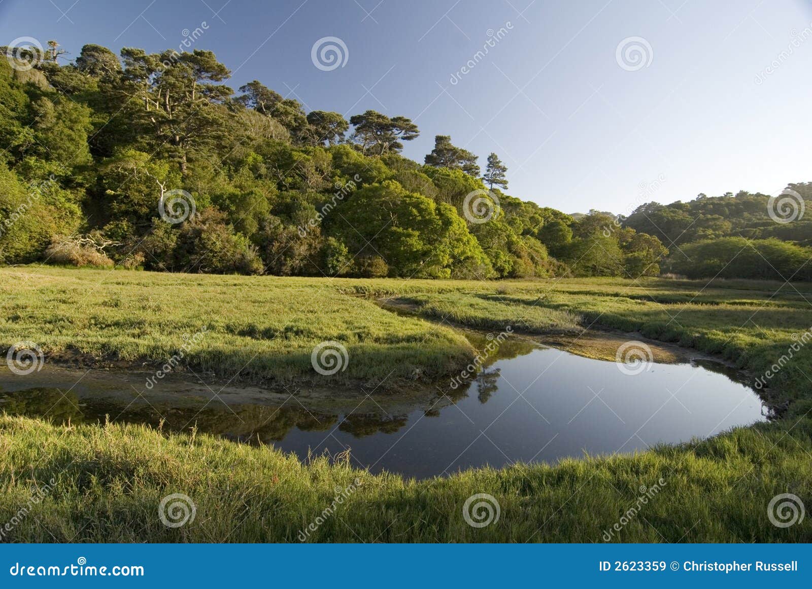 Tomales bay wetlands stock image. Image of golden, california 2623359