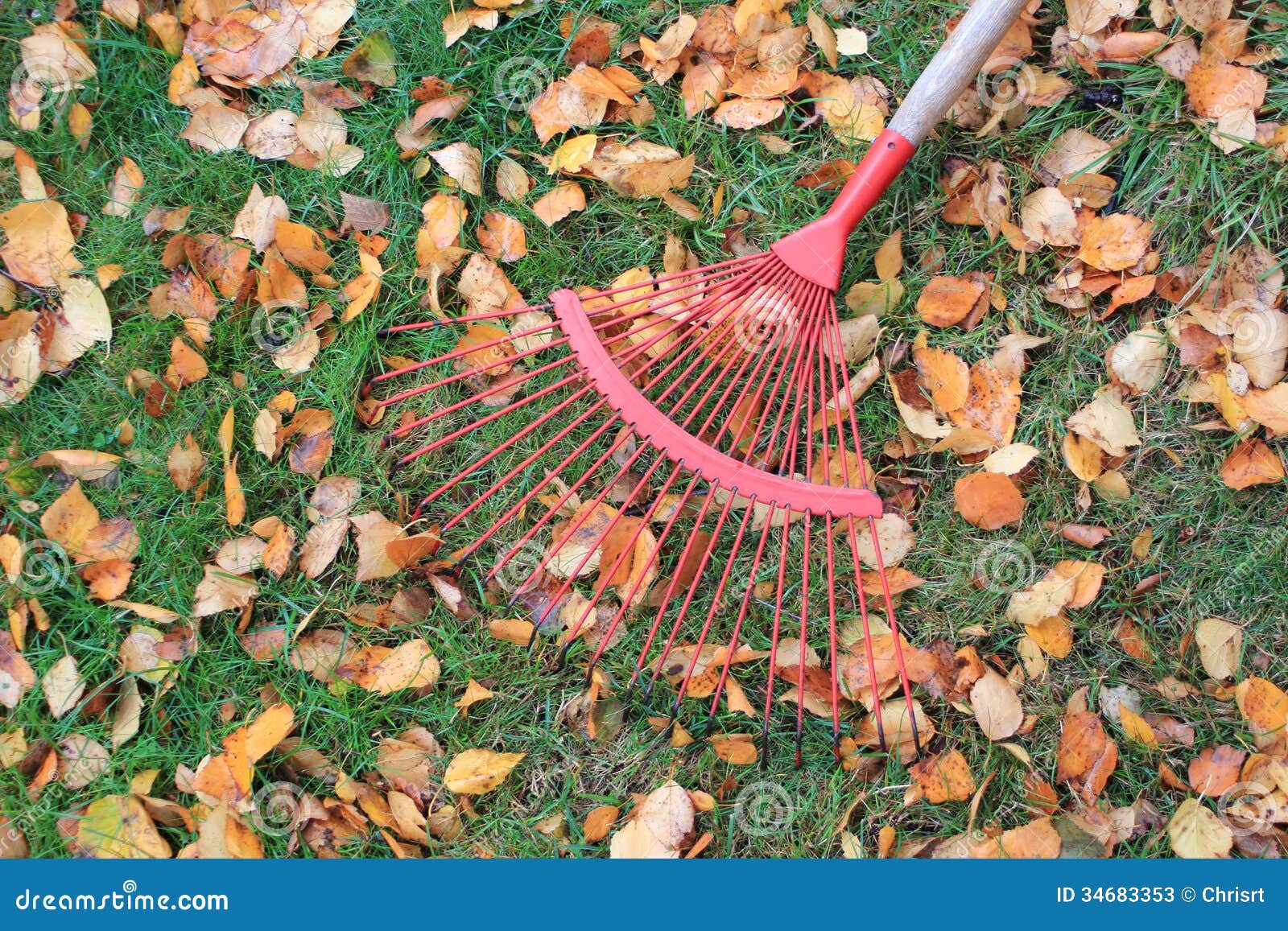 Tomando Un Resto De Rastrillar Las Hojas Imagen de archivo Imagen de
