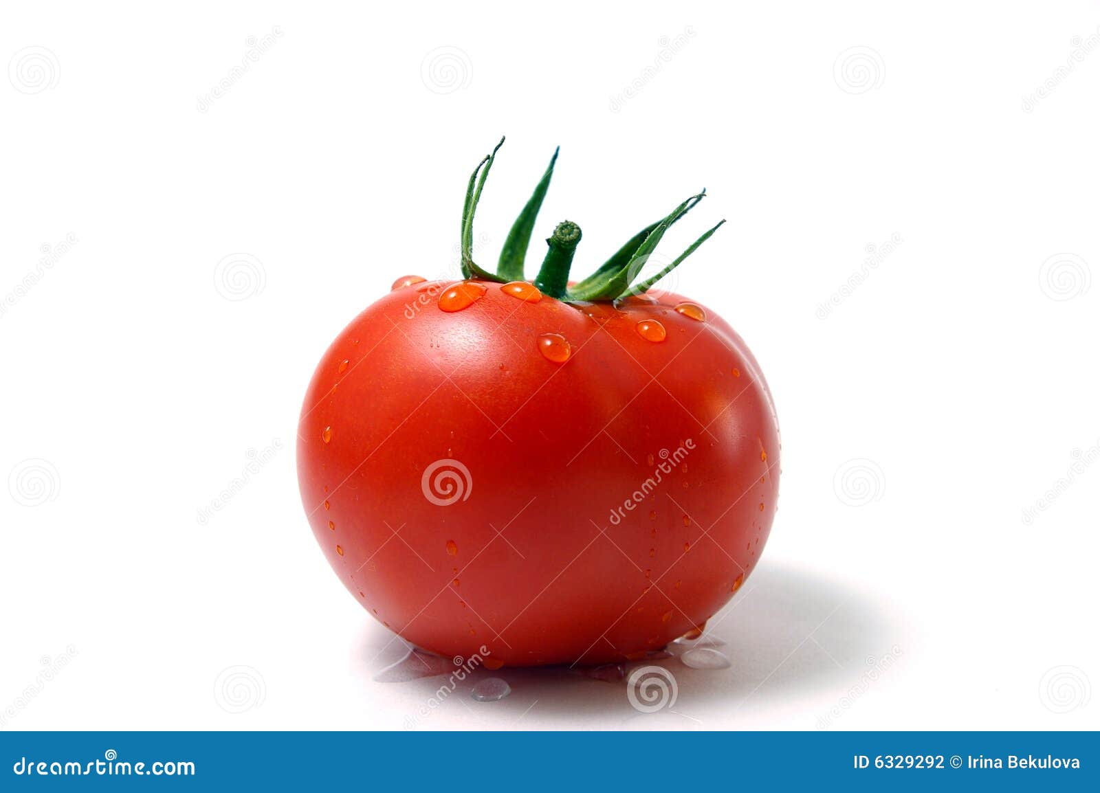 El gota tomate en