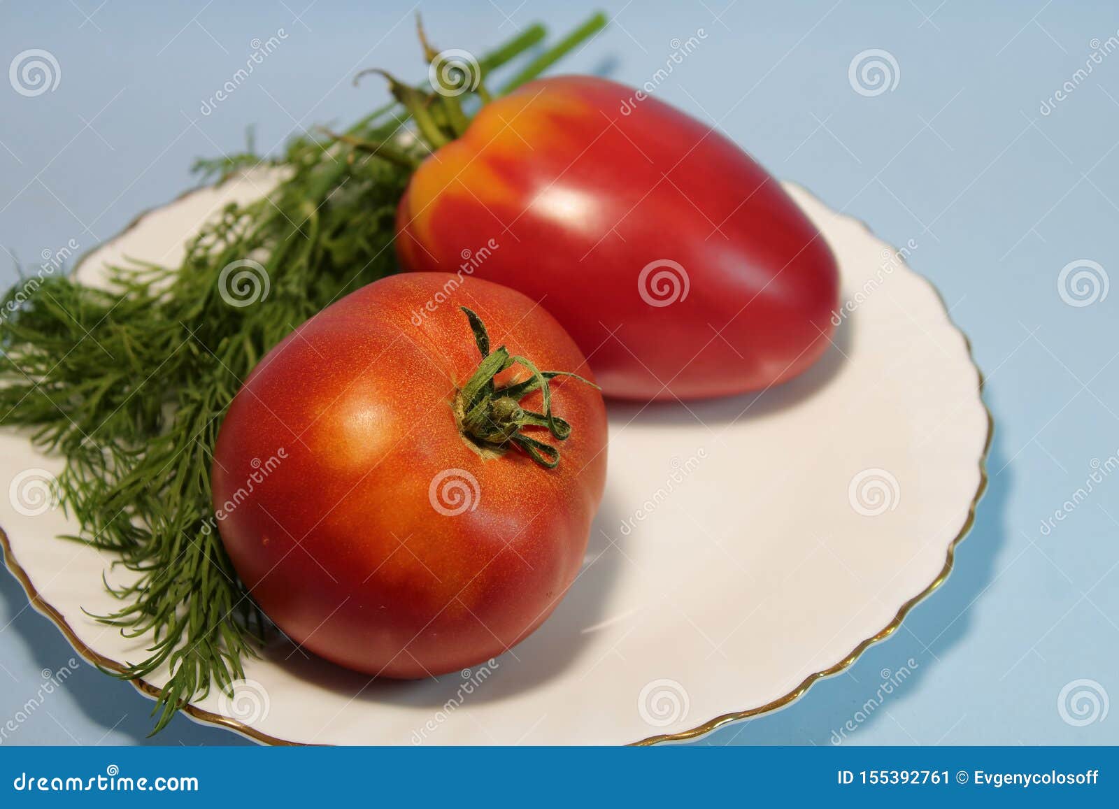Tomaten in Einer Platte Mit Dill Auf Einem Grauen Hintergrund Stockbild ...