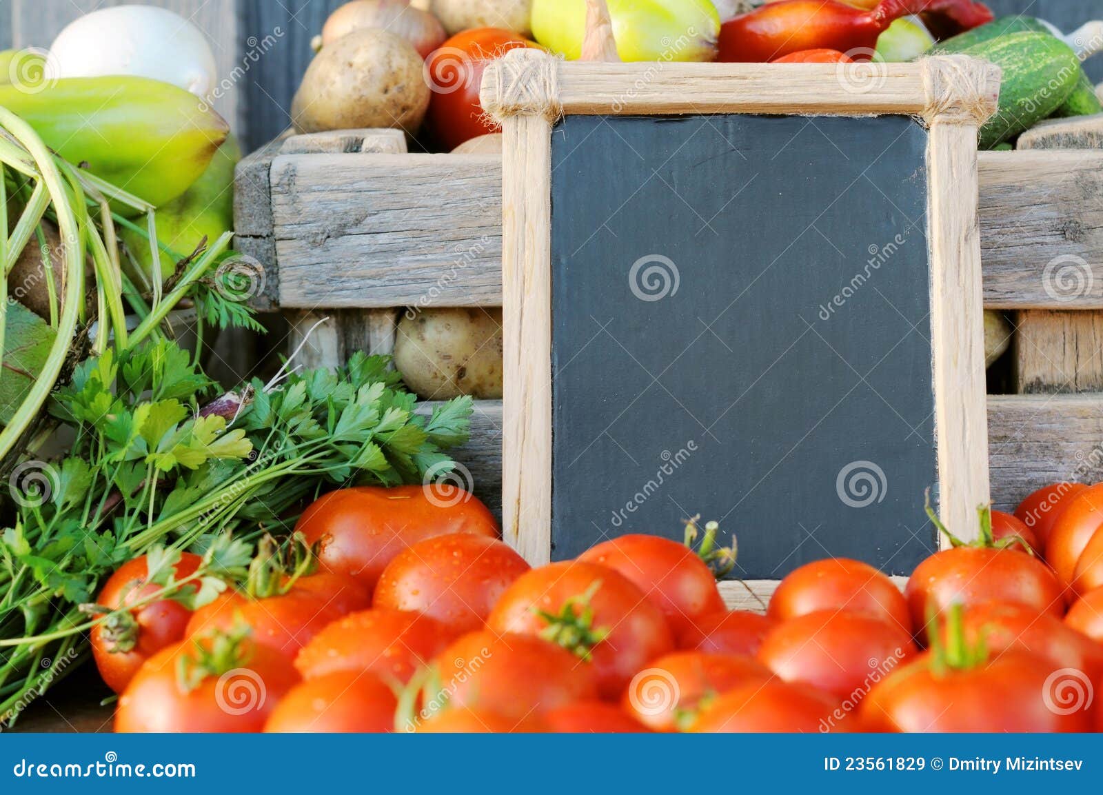 paus Pracht Manifestatie Tomaten en prijs stock afbeelding. Image of krijt, vertoningen - 23561829
