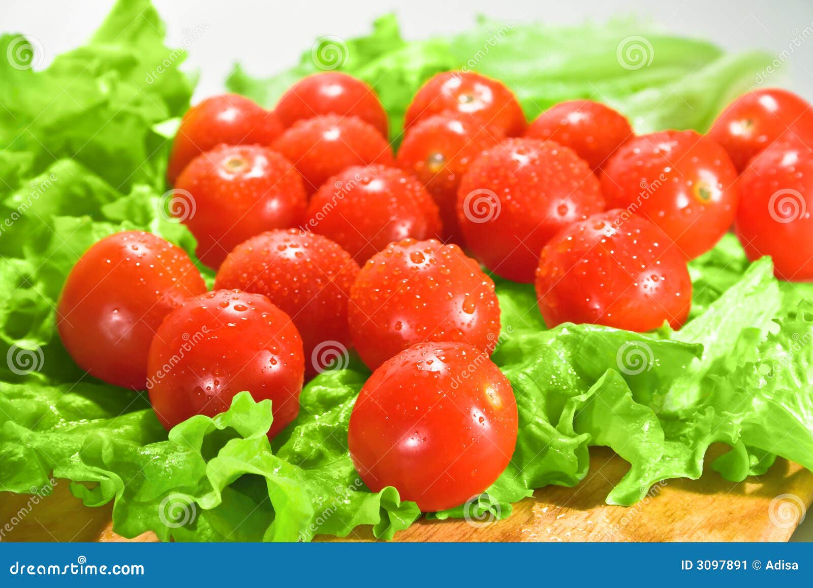 Roos leren woede Tomaten en sla stock afbeelding. Image of koken, rijp - 3097891