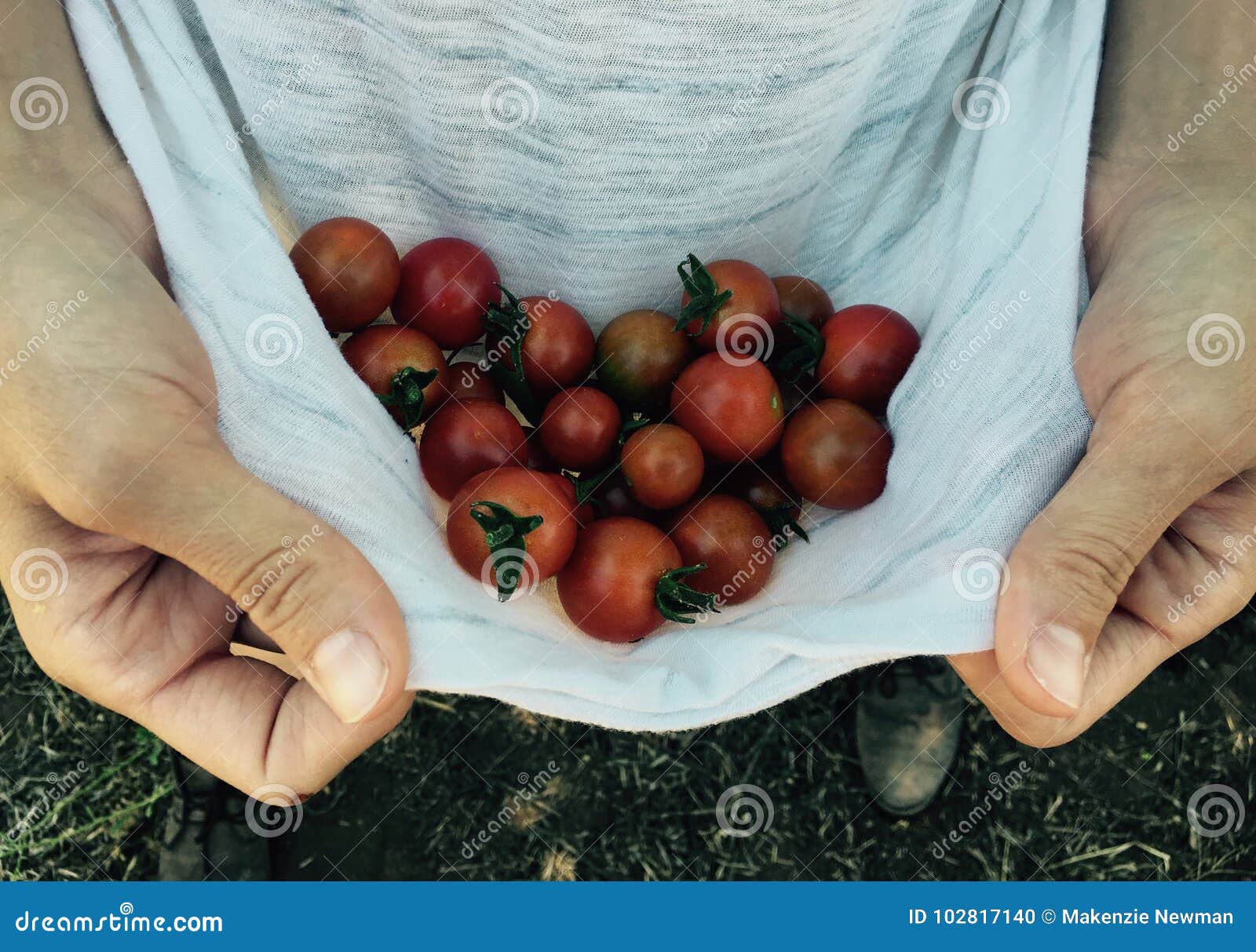 Avental completamente de tomates de cereja