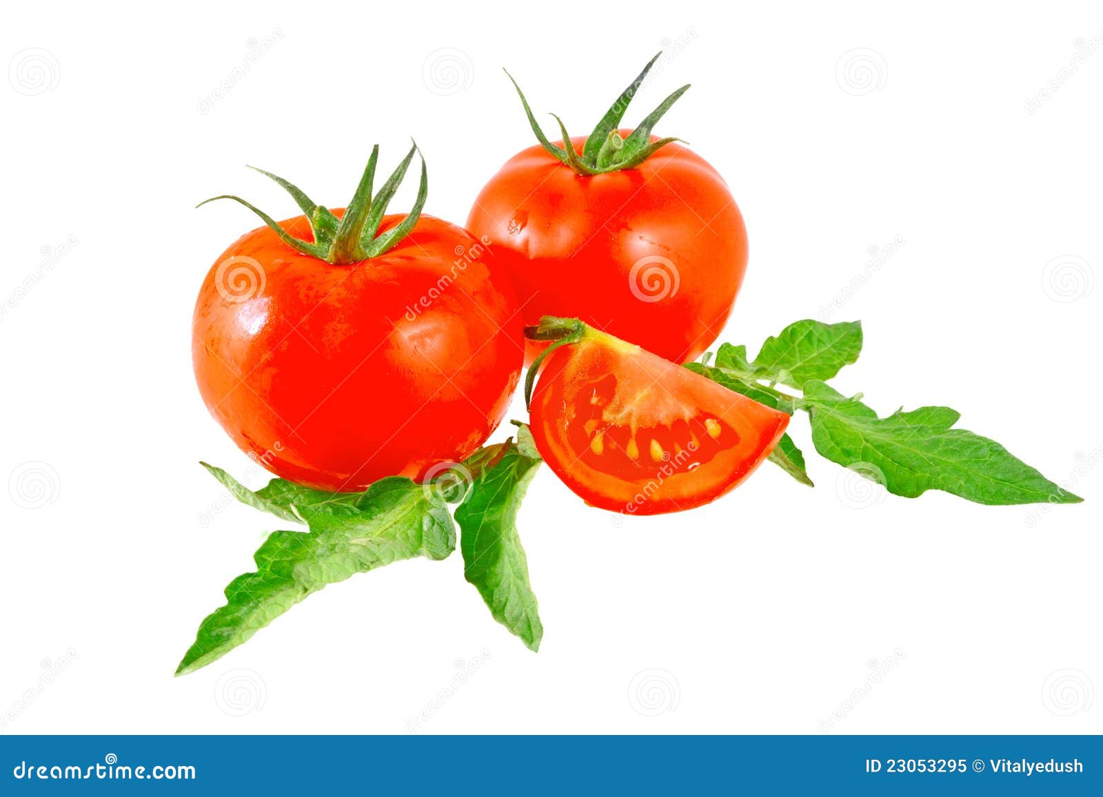 Tomates luxuriantes avec les feuilles vertes. D'isolement au-dessus du blanc