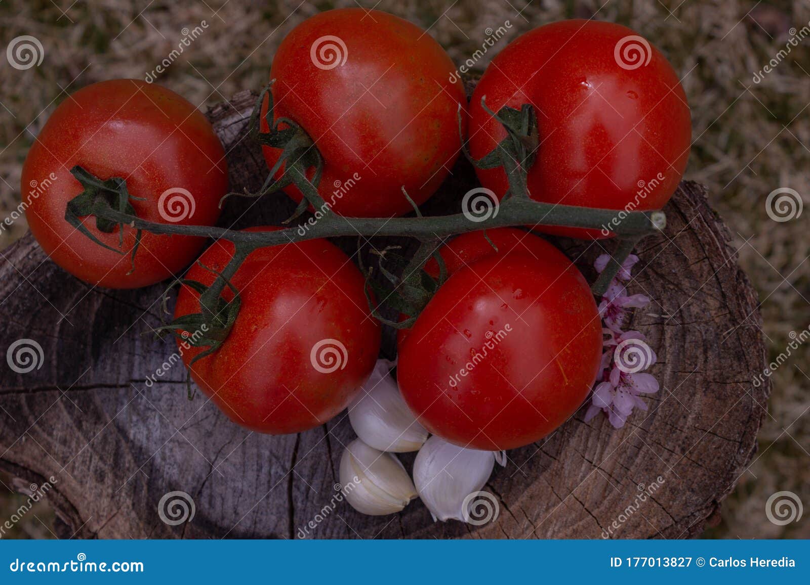 tomates i ajos