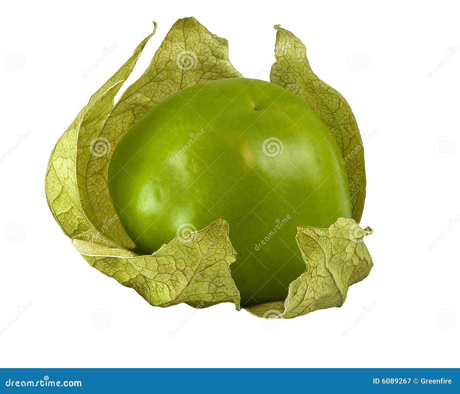 Tomatillo stock image. Image of white, food, tomatoes 6089267