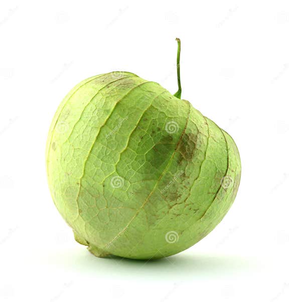 Tomatillo stock photo. Image of jamberry, cuisine, supermarket 9853624