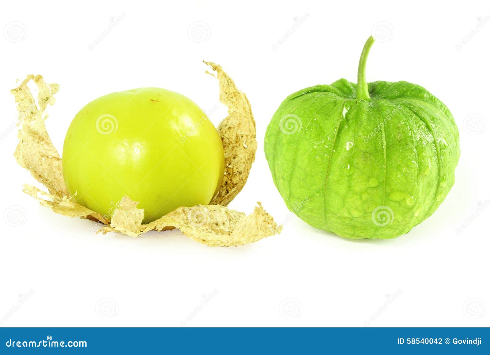 tomatillo or mexican green tomato fruit or vegetable