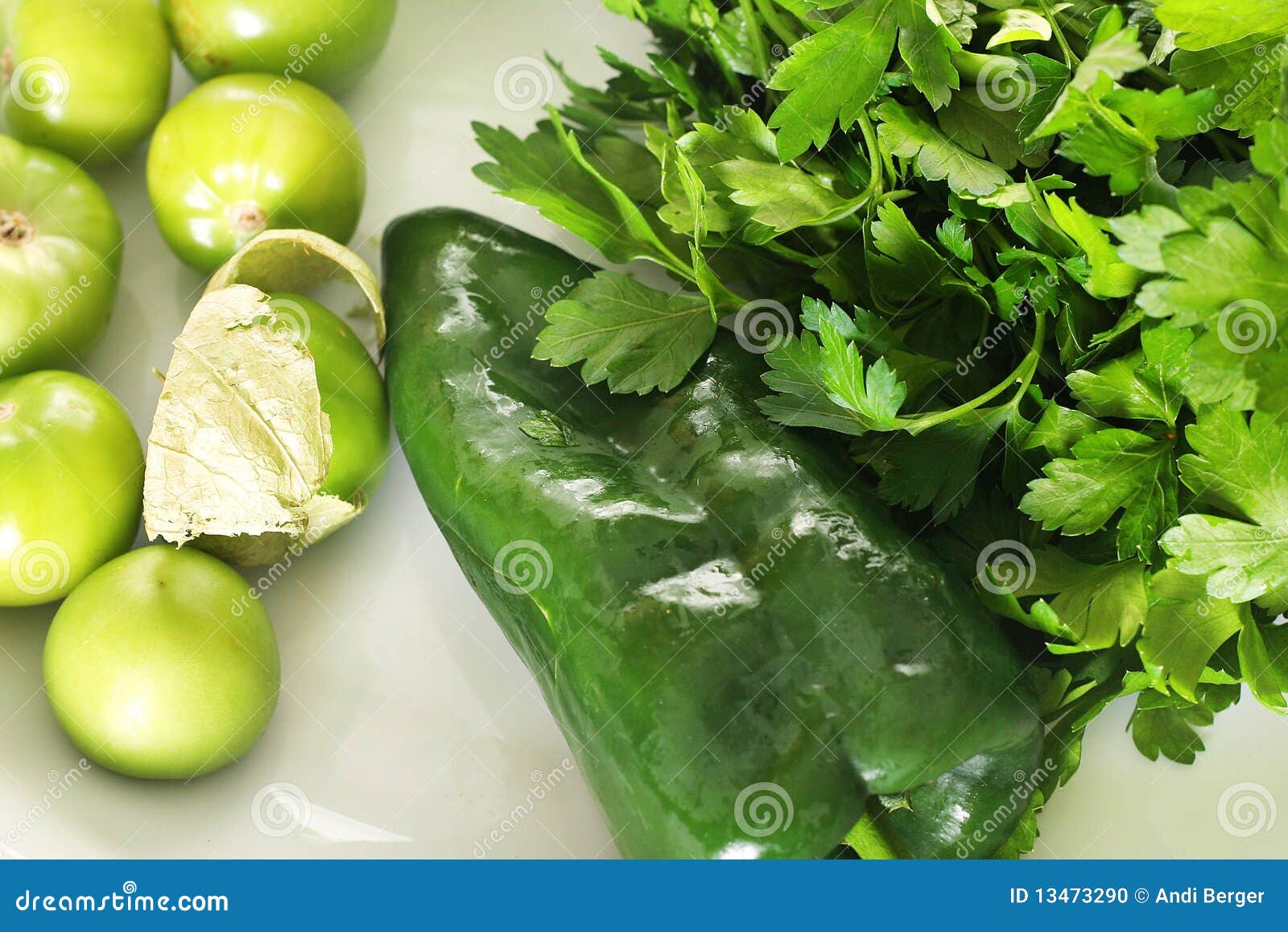 Tomatillo Salsa Ingredients Stock Photo Image of jamberry, produce 13473290