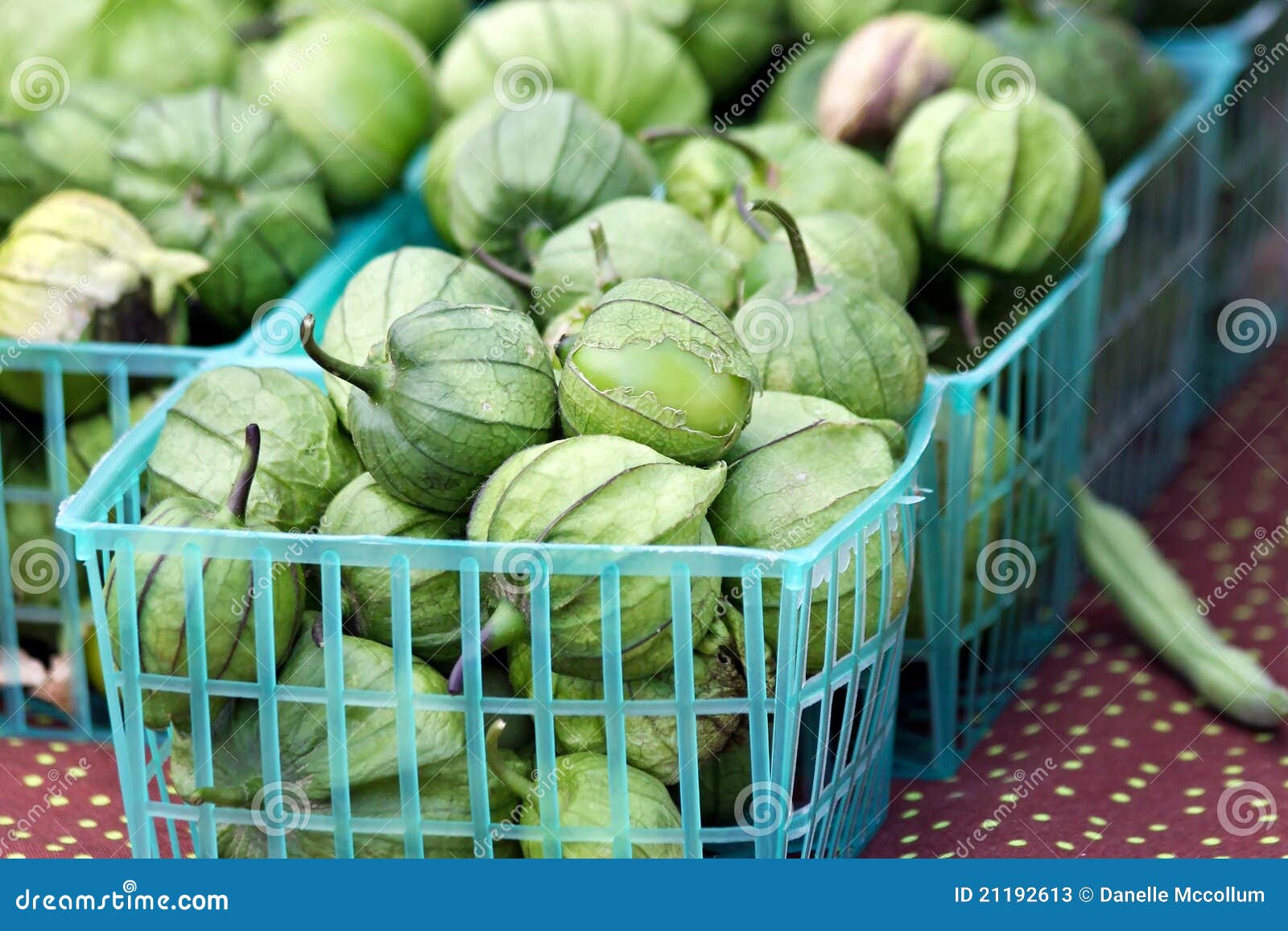 Tomatillos stock image. Image of cooking, nutrition, healthy 21192613