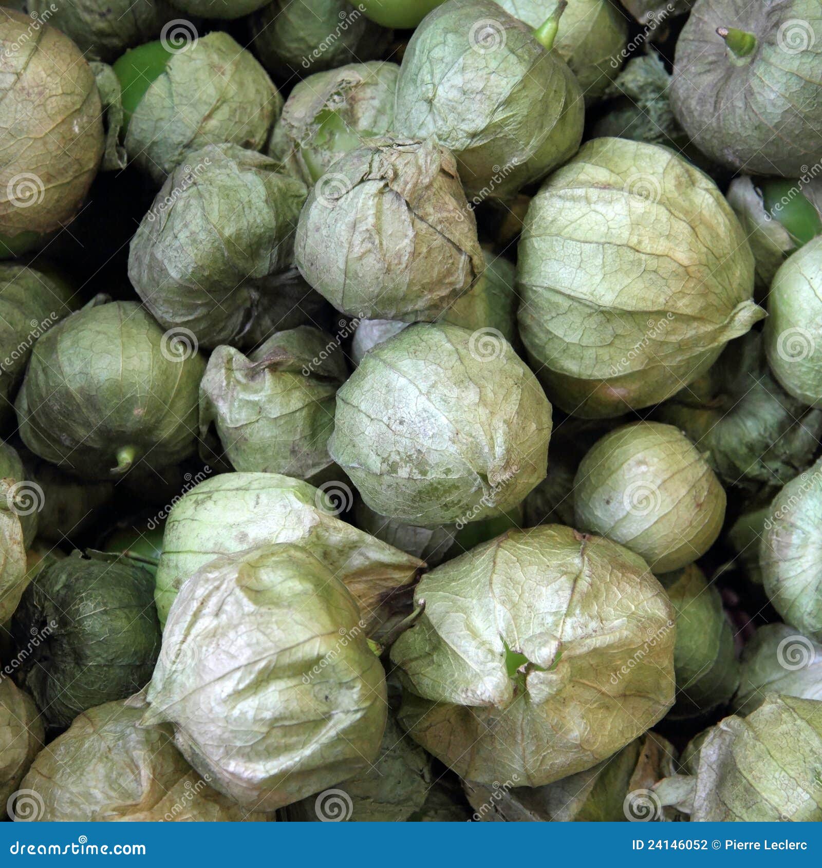 Tomatillos stock photo. Image of store, food, grocery 24146052