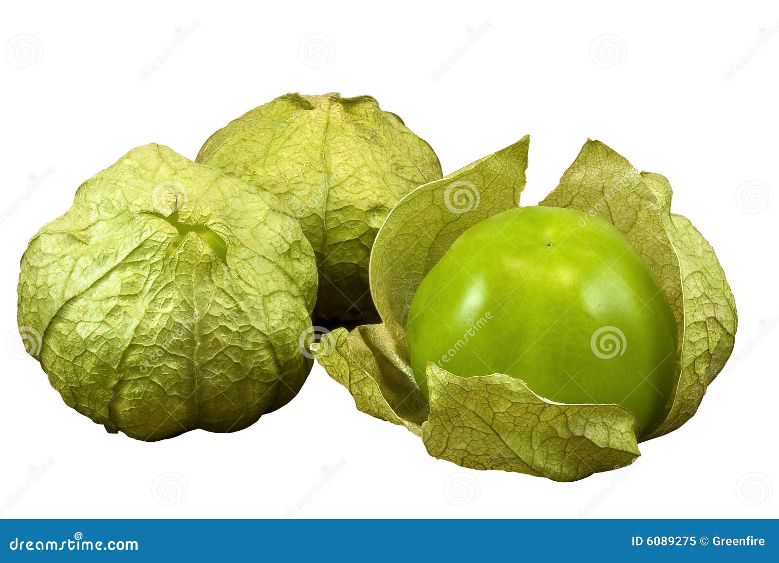 Tomatillos stock image. Image of tomato, white, close 6089275