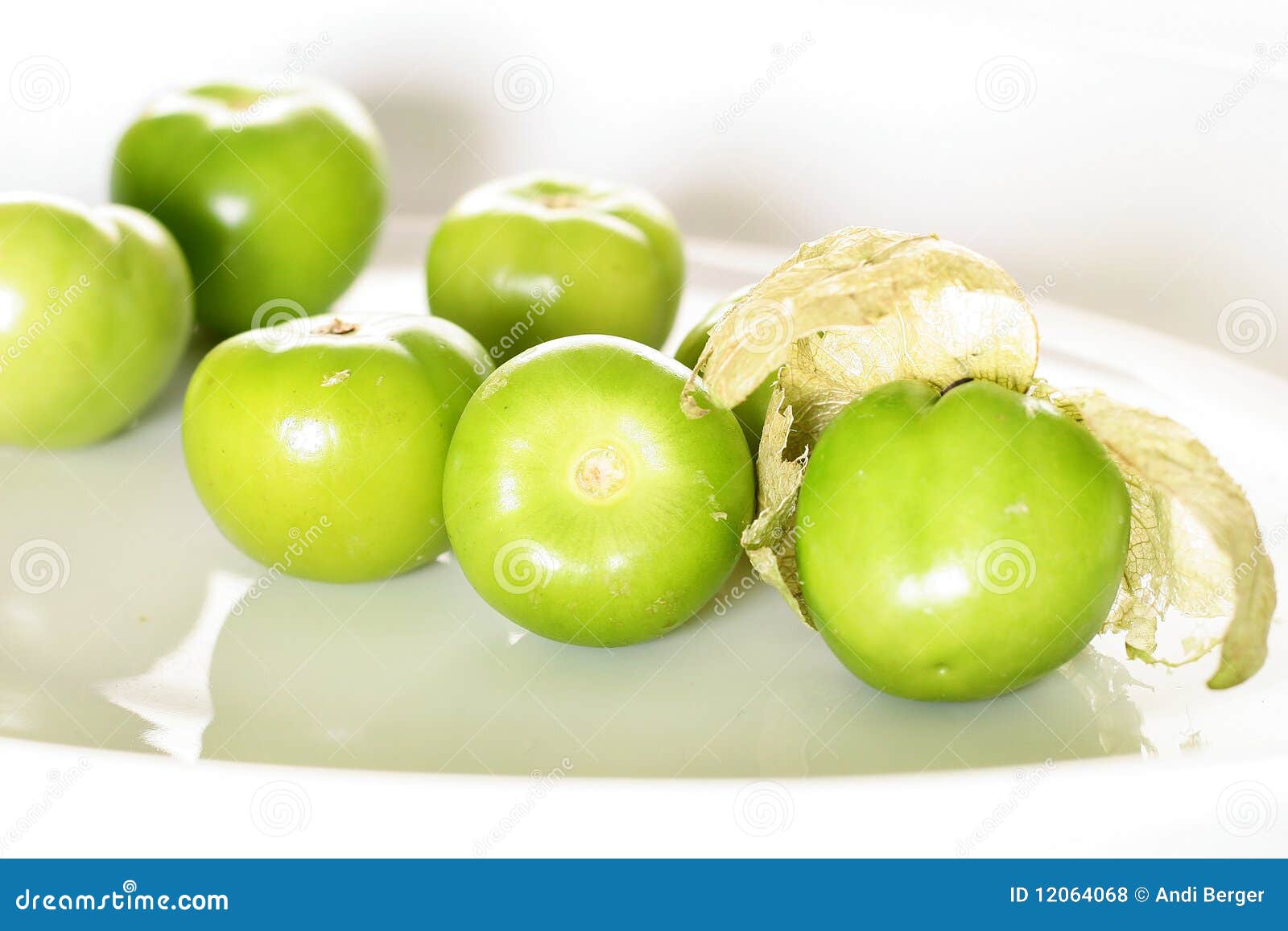 Tomatillos Fresco Do Jardim Foto de Stock Imagem de branco, isolado