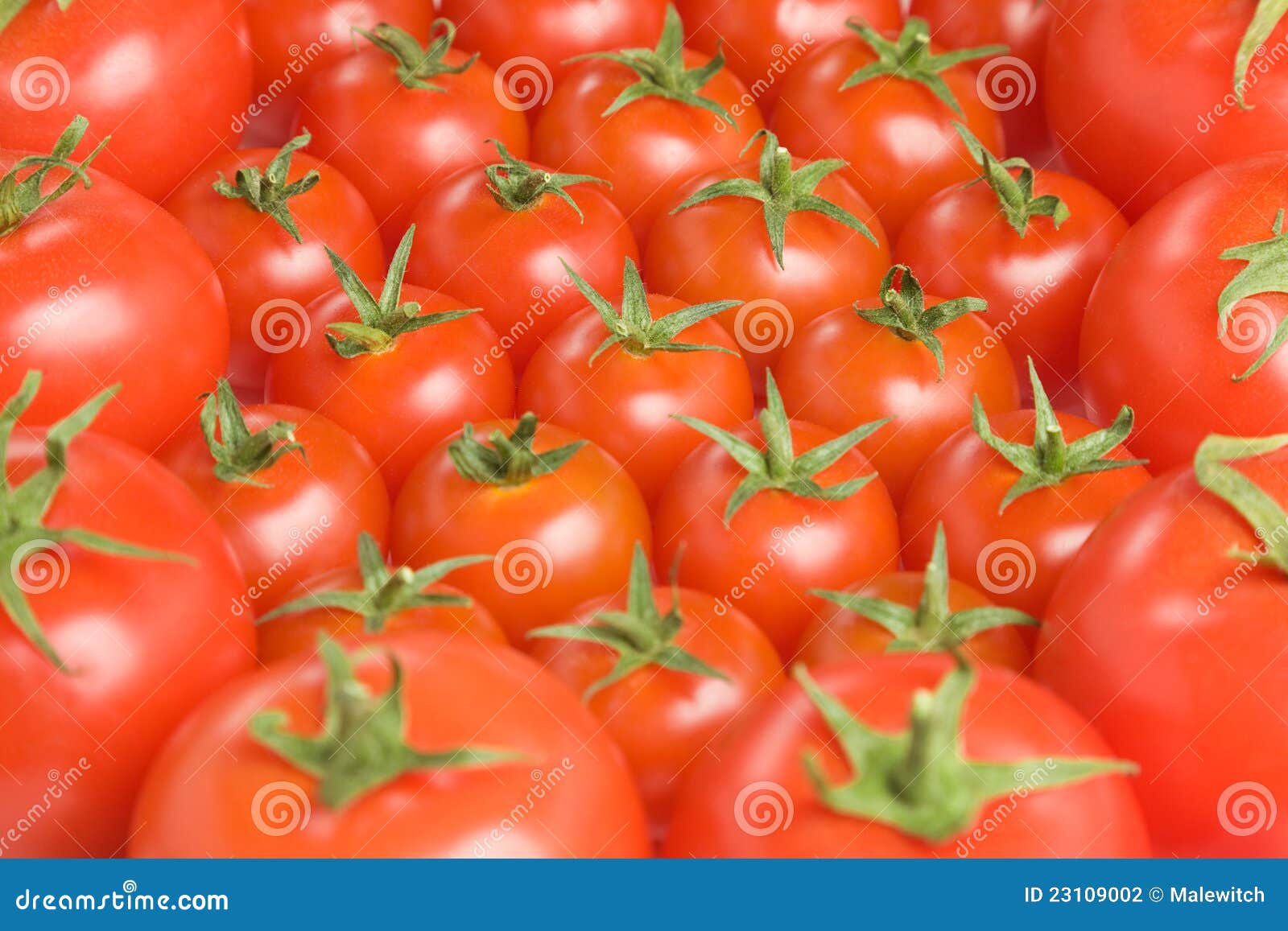 Tomato background1 stock photo. Image of objects, shiny 23109002