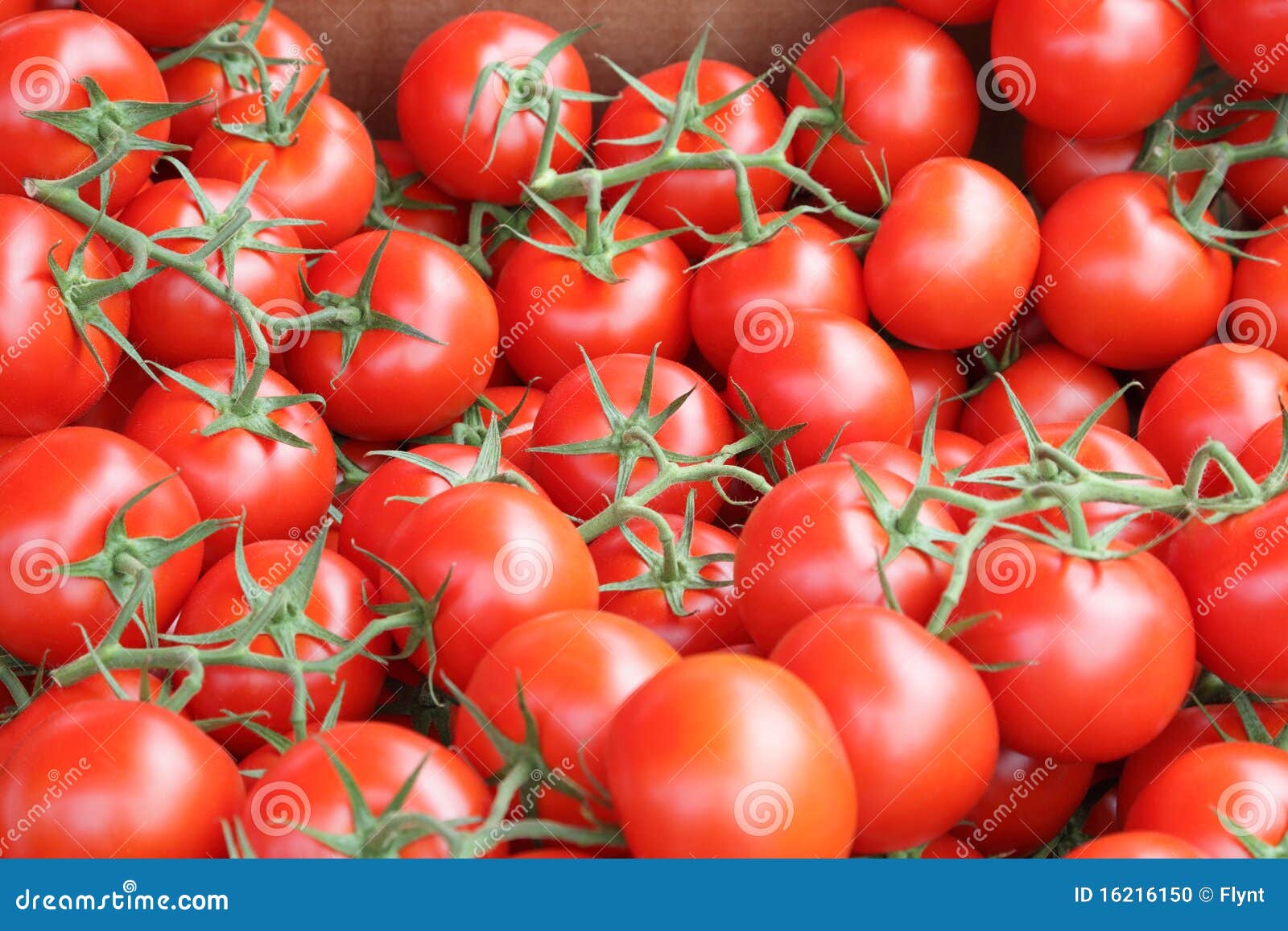 Tomato background stock photo. Image of healthy, clean - 16216150