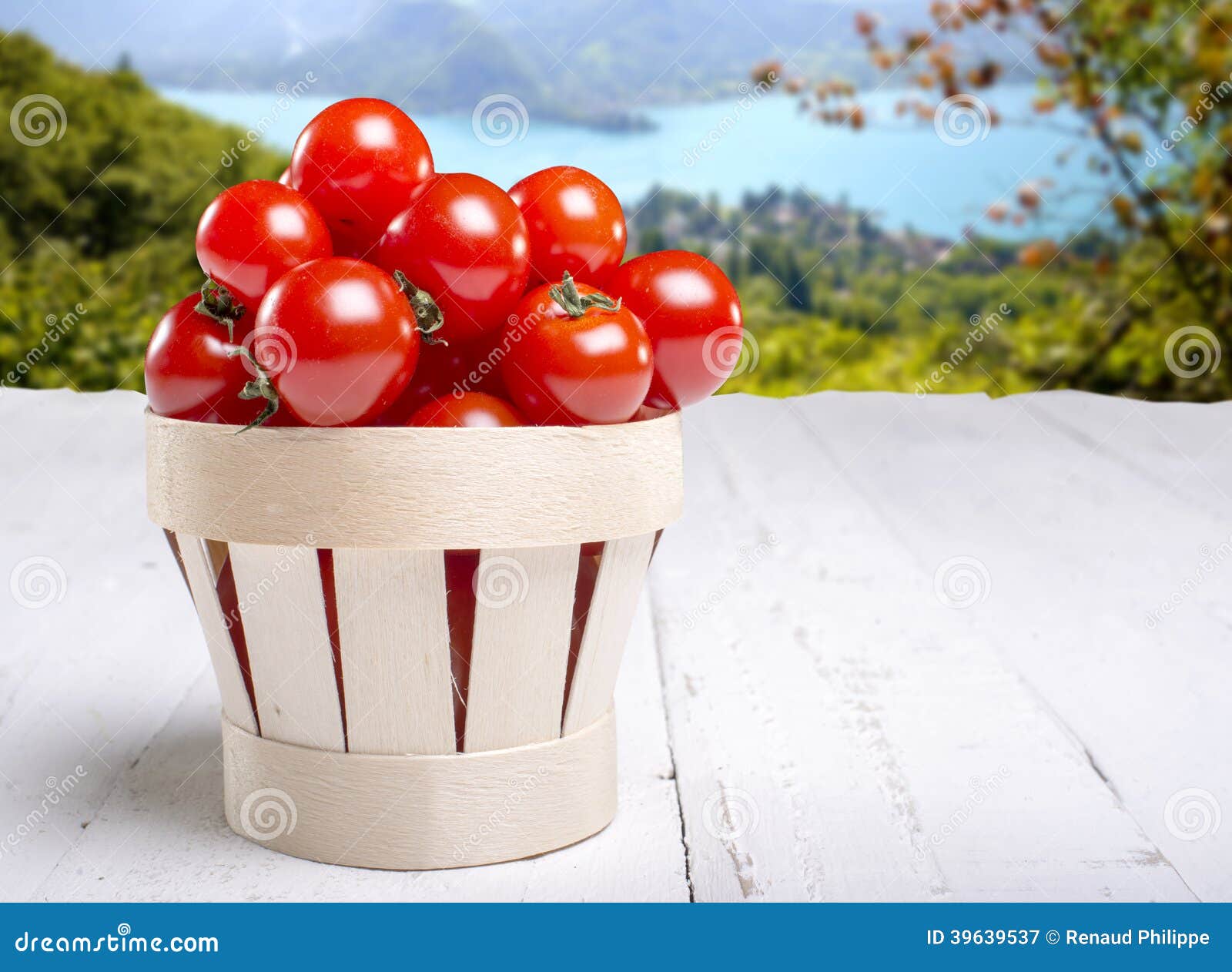 Tomato it in a basket stock image. Image of healthy, tomato 39639537