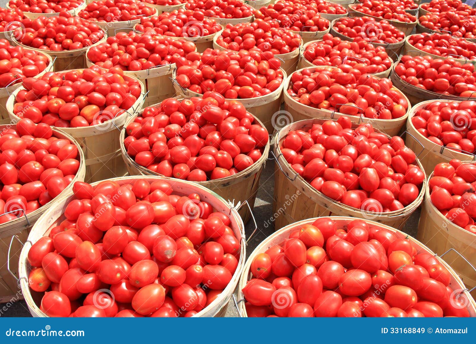 Bushel of tomatoes cost