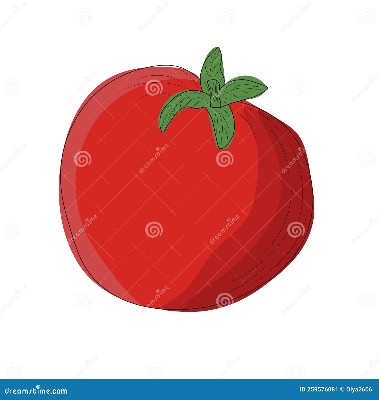 Tomato in Cartoon Style, Colored Tomato Isolated on White Background