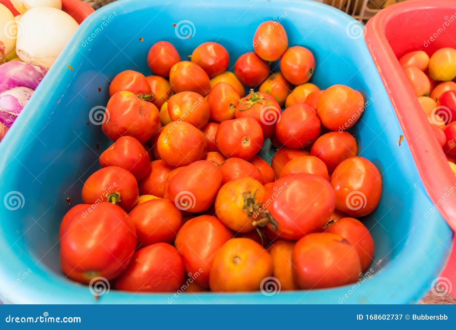 Tomato Displayed in Baskets and Ready for Sales in Fresh Market Stock