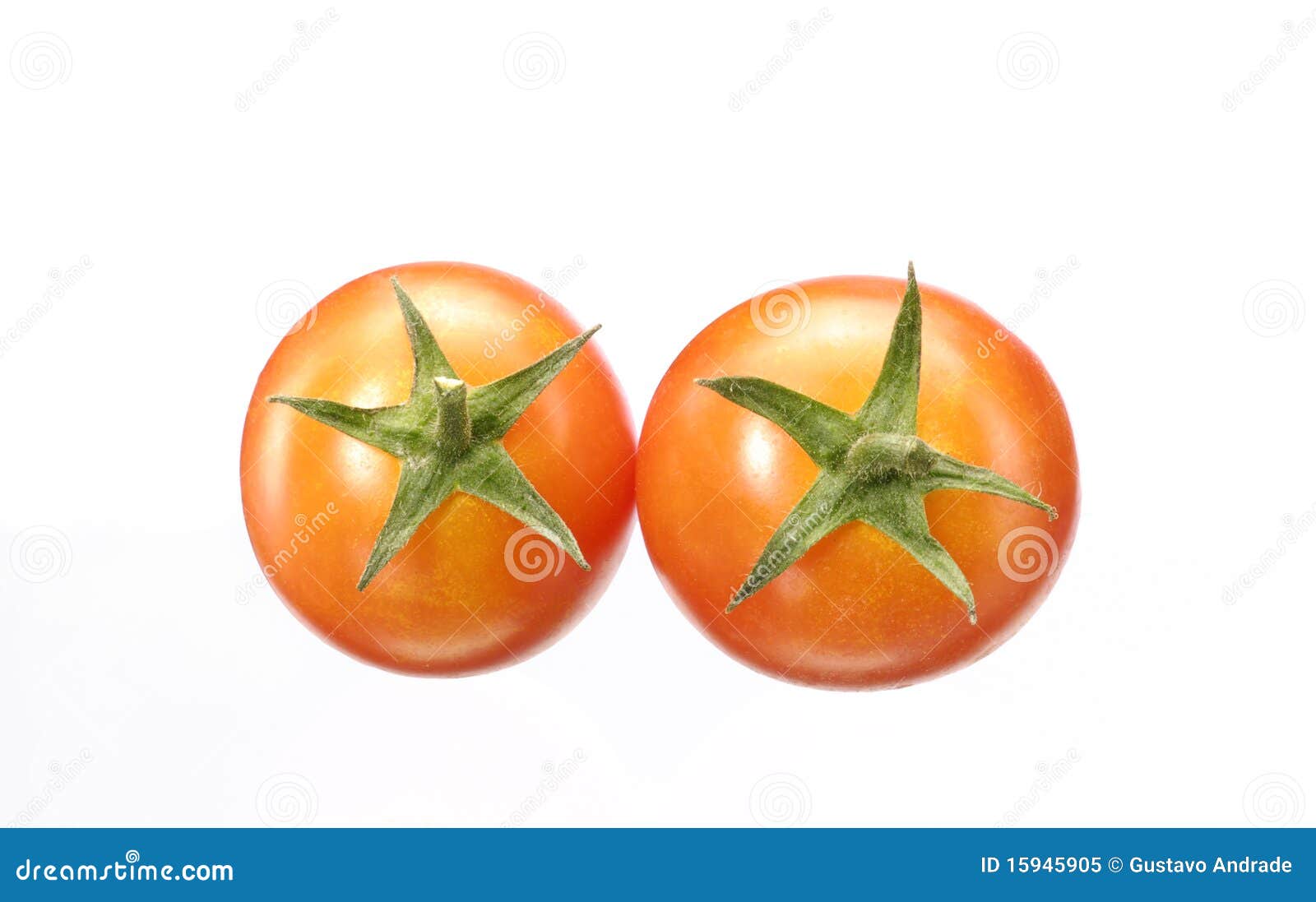 Tomato eyes. stock image. Image of drop, light, green 15945905