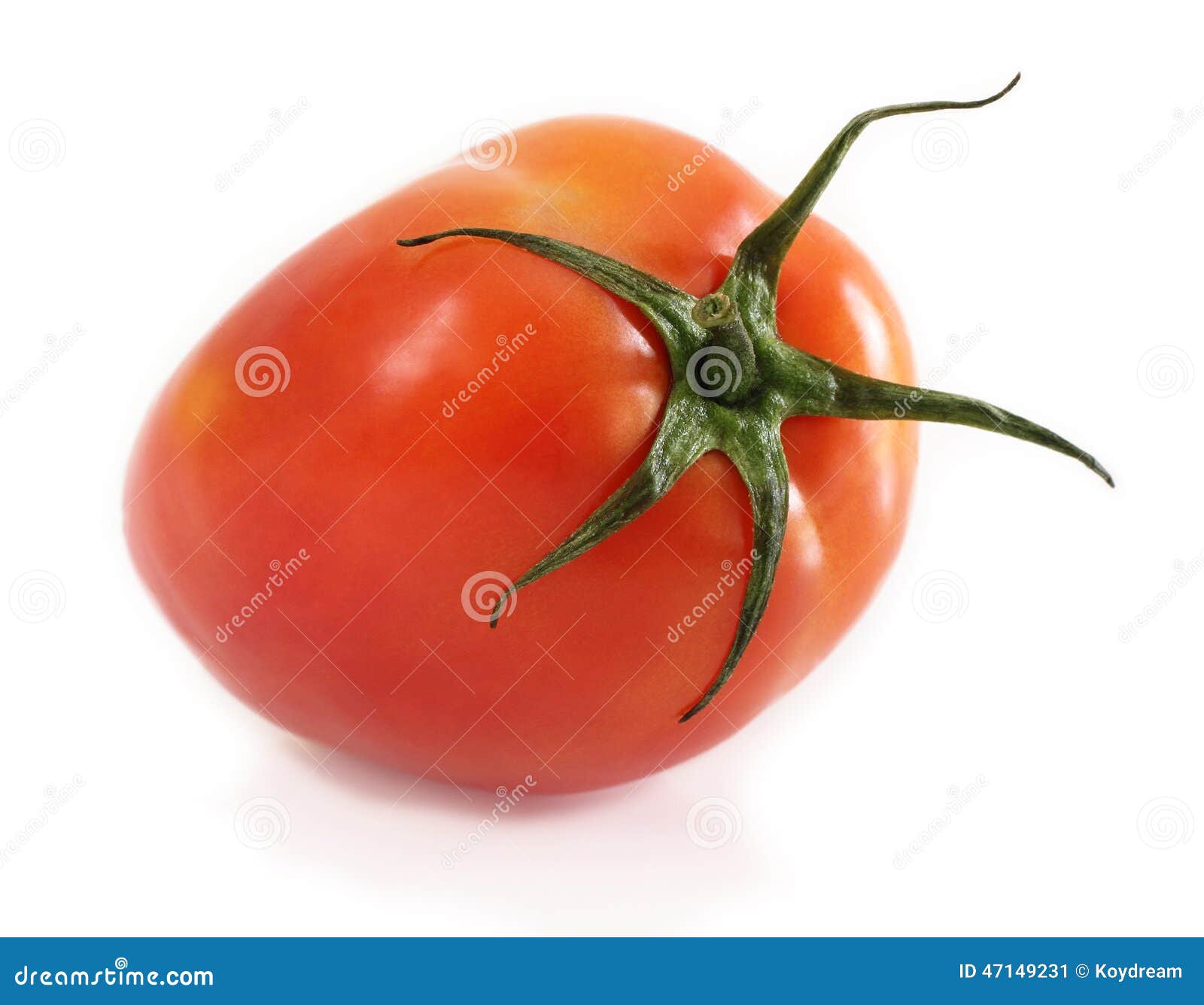 Tomato is fruit. stock image. Image of vegetable, nature 47149231