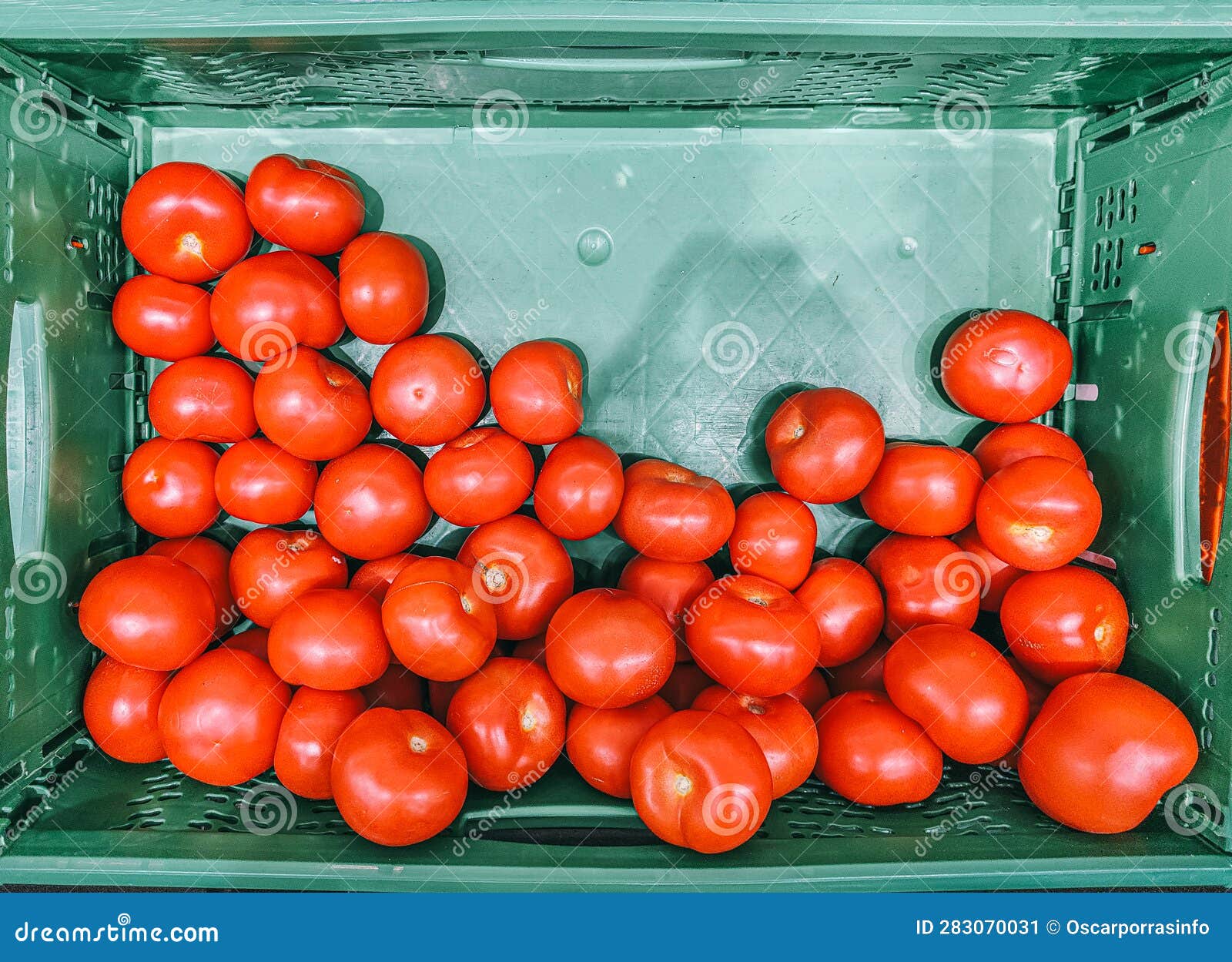 The Tomato is a Fruit that Has Culinary Importance and is a Vegetable