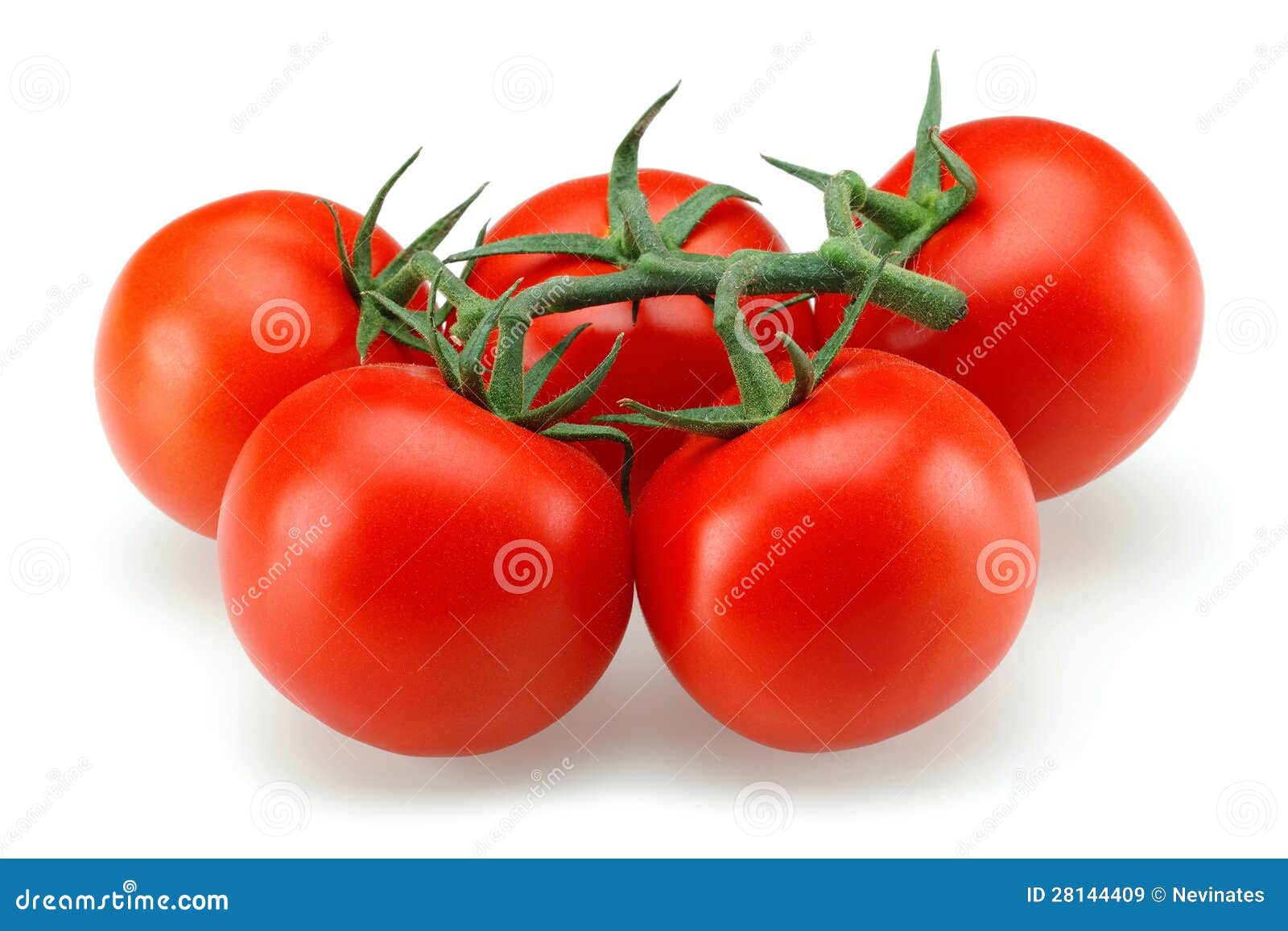 tomato group