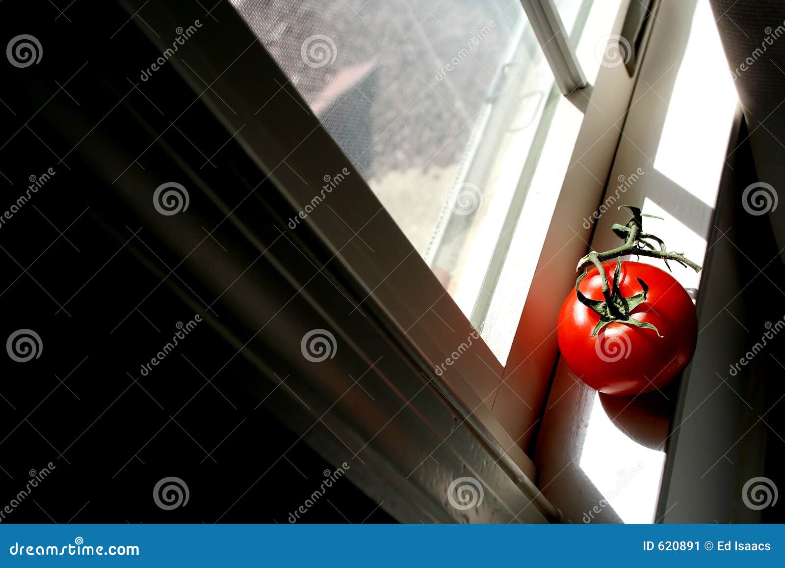 tomato 2 carnegie pa tomato 2 carnegie pa