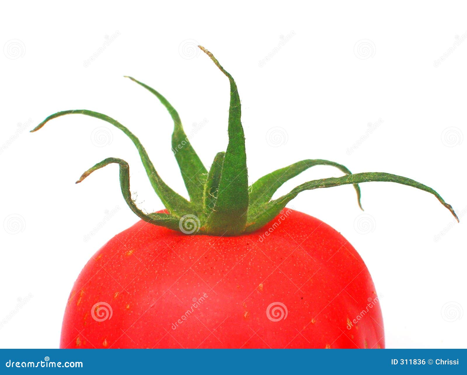 Tomato Star Vegetable Kingdom Stock Photo 2366211465