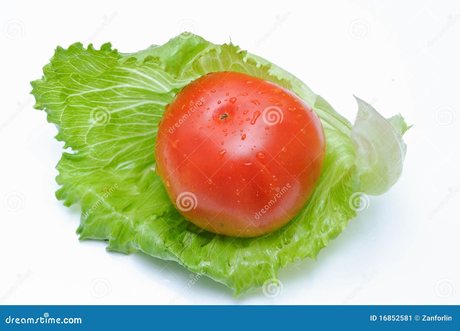 tomato with lettuce