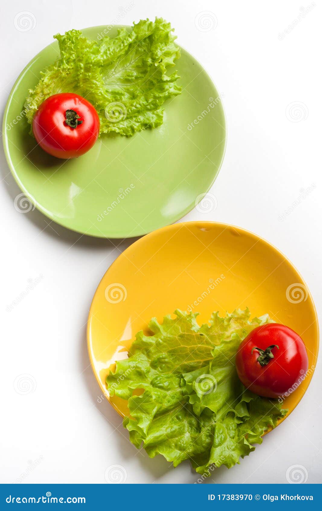Tomato and Lettuce on a Dish Stock Photo Image of ingredients