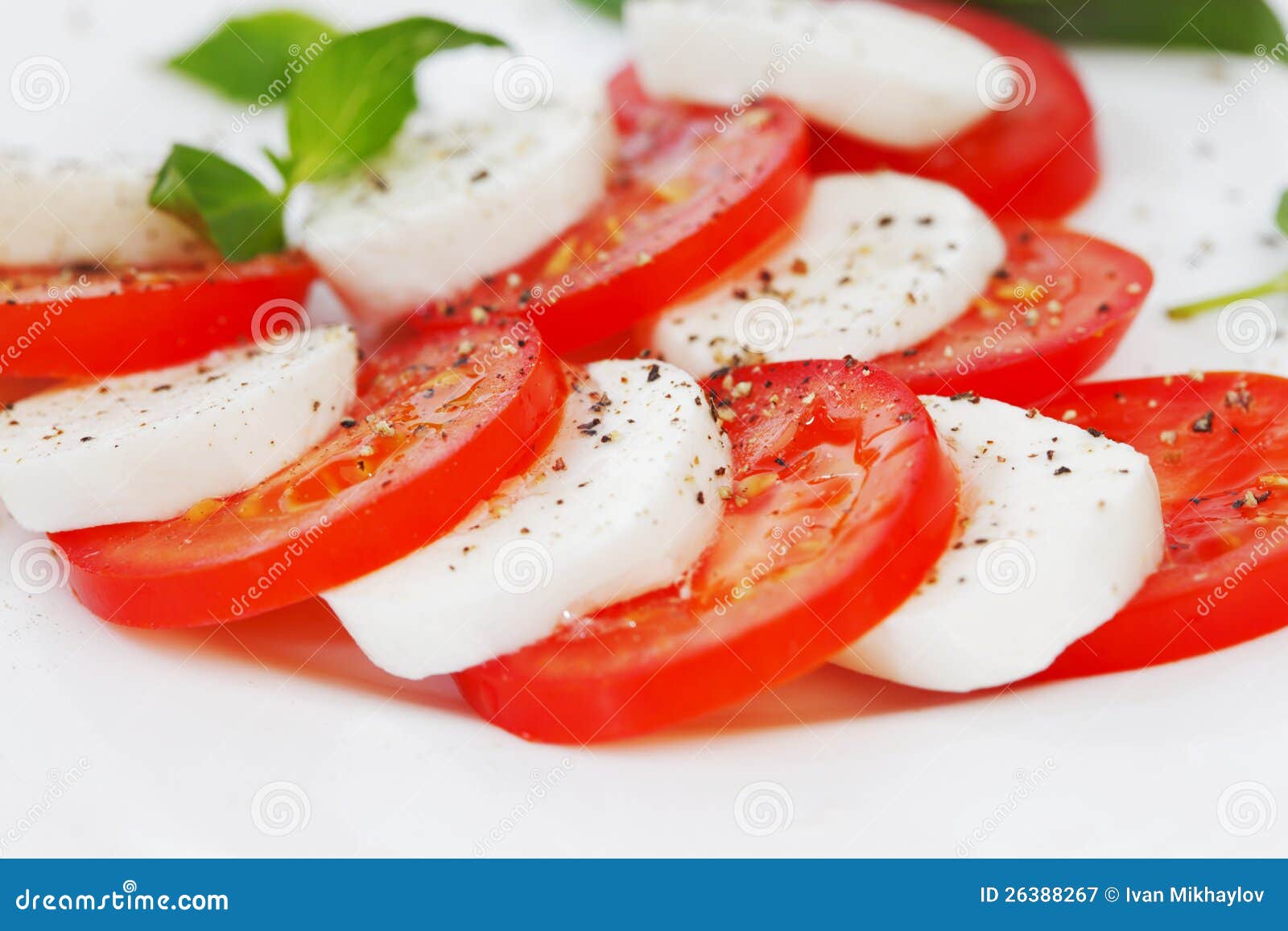 Tomato and Mozzarella Slices on a Plate Stock Image - Image of gourmet